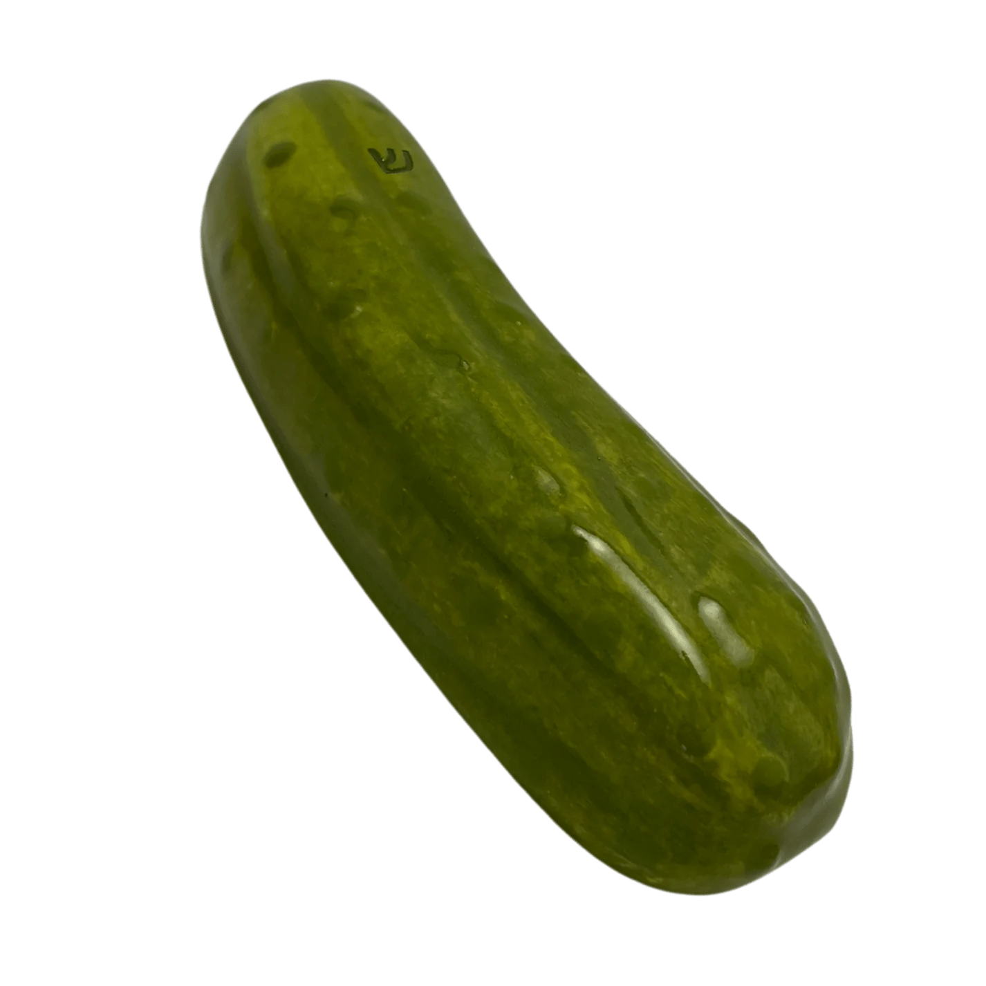  Handcrafted Kosher Dill Ceramic Pickle Mezuzah、mySite、elrpsem3k