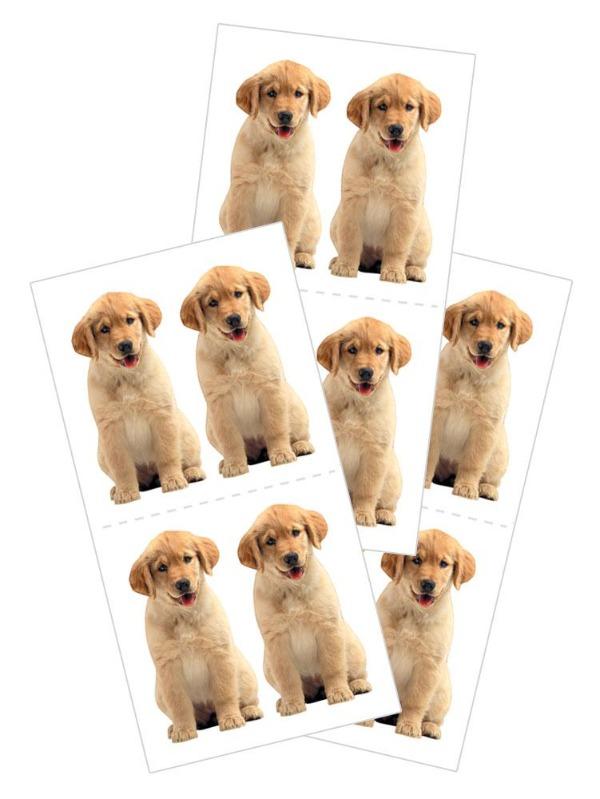 Decorative Stickers - Golden Retriever Puppy、mySite、ghnorth