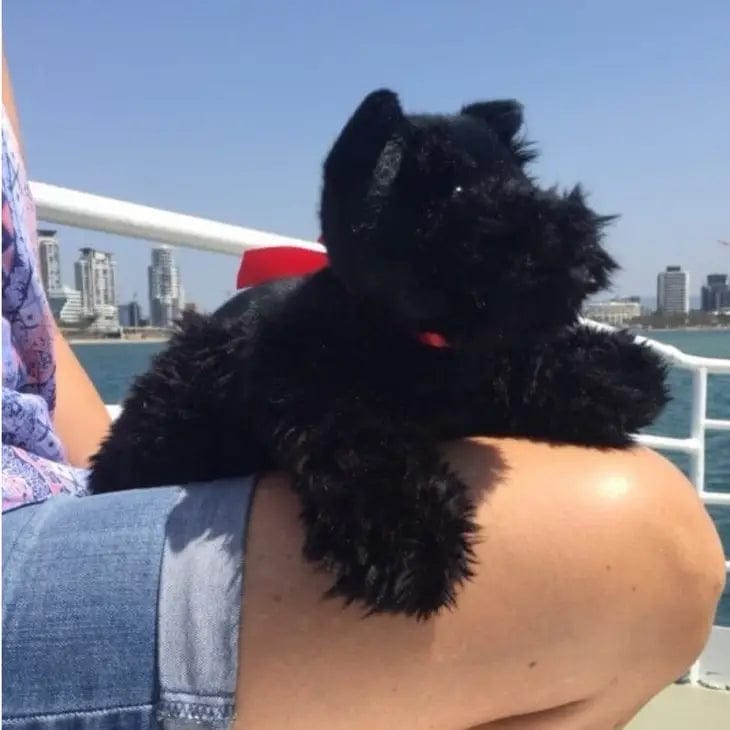 Black Plush Scottish Terrier Puppy - 28cm Floppy、mySite、g9winljtr