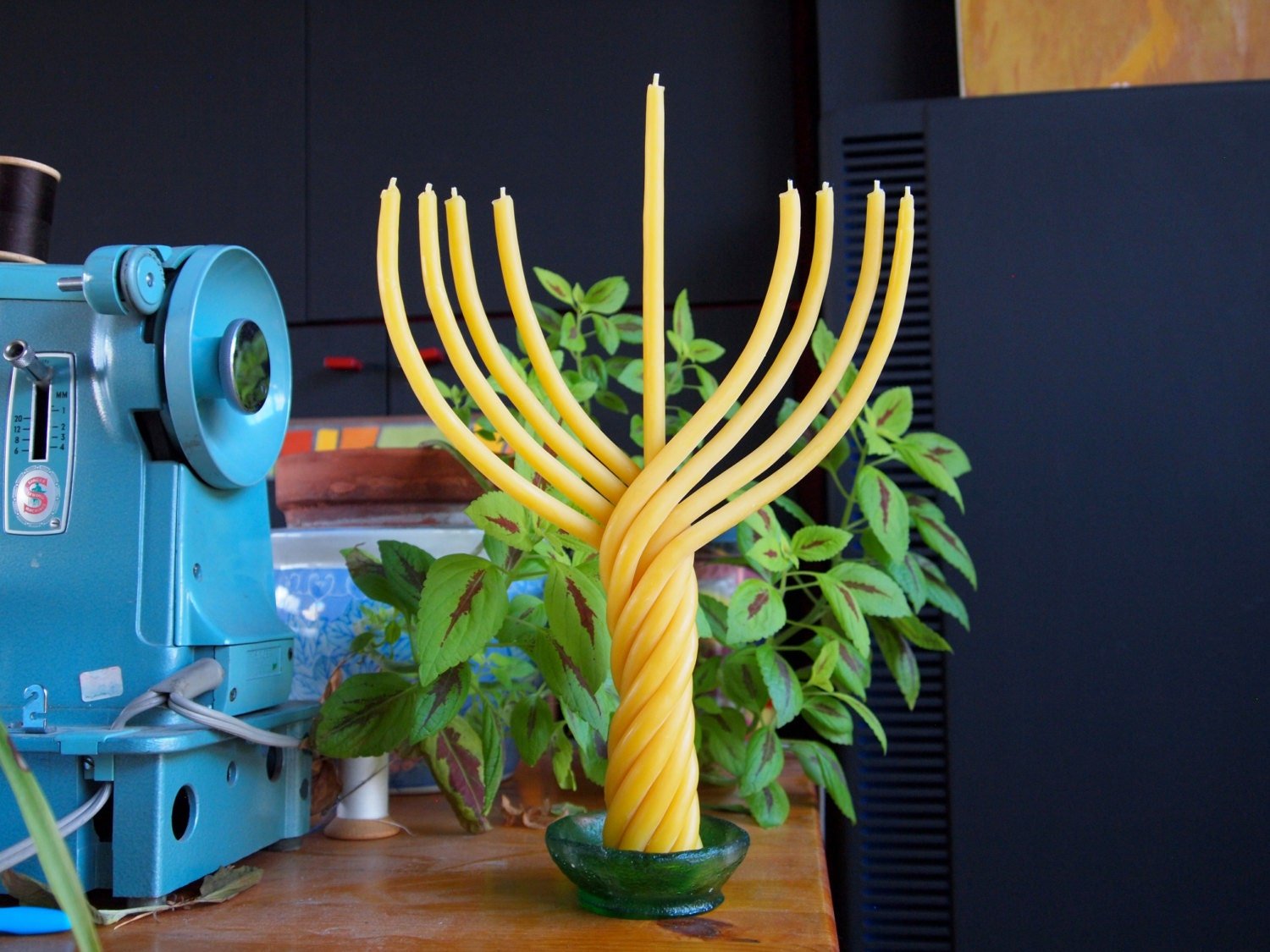  Menorah shaped Beeswax Candle、mySite、elrpsem3k
