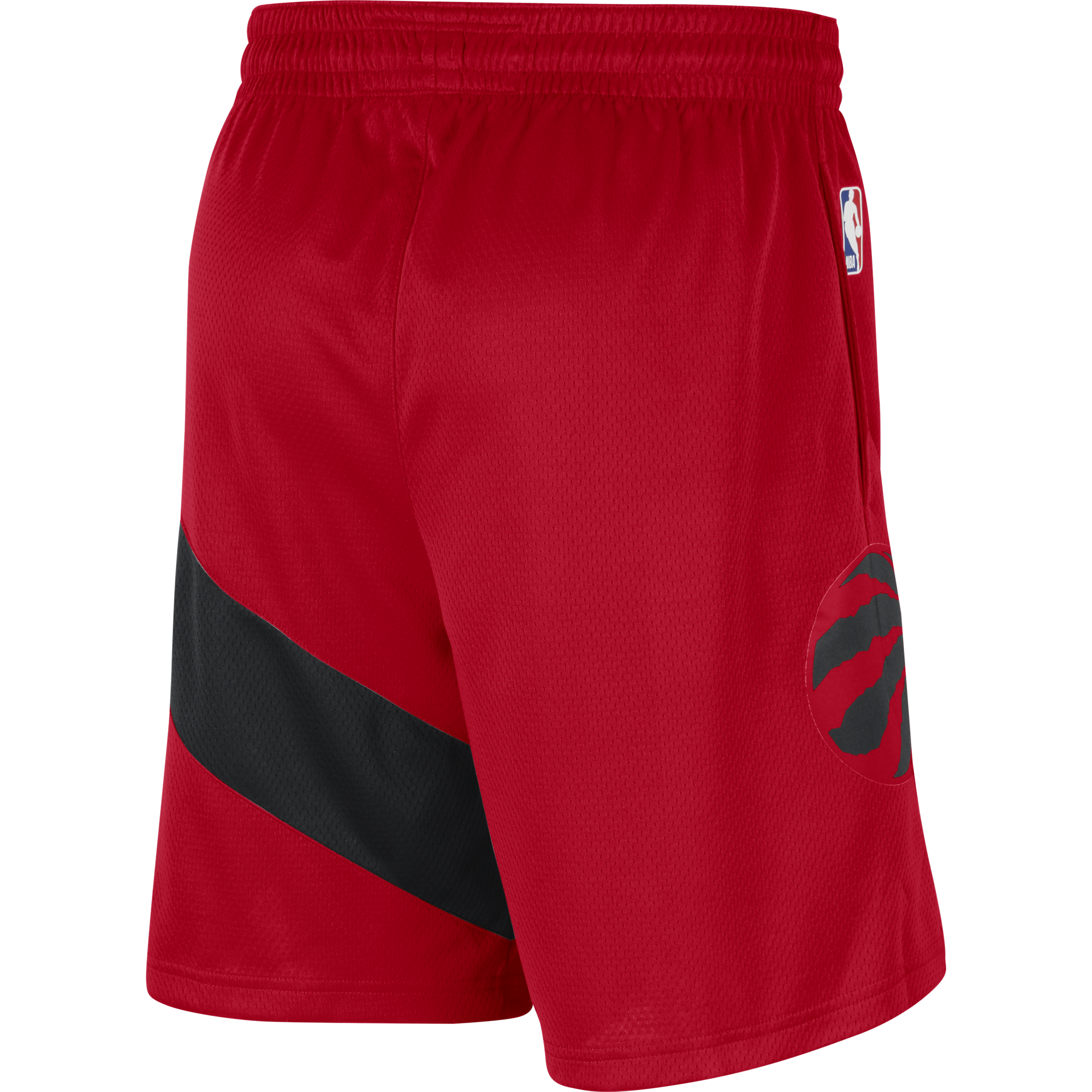 Raptors Nike Men's Swingman 2020 Icon Shorts