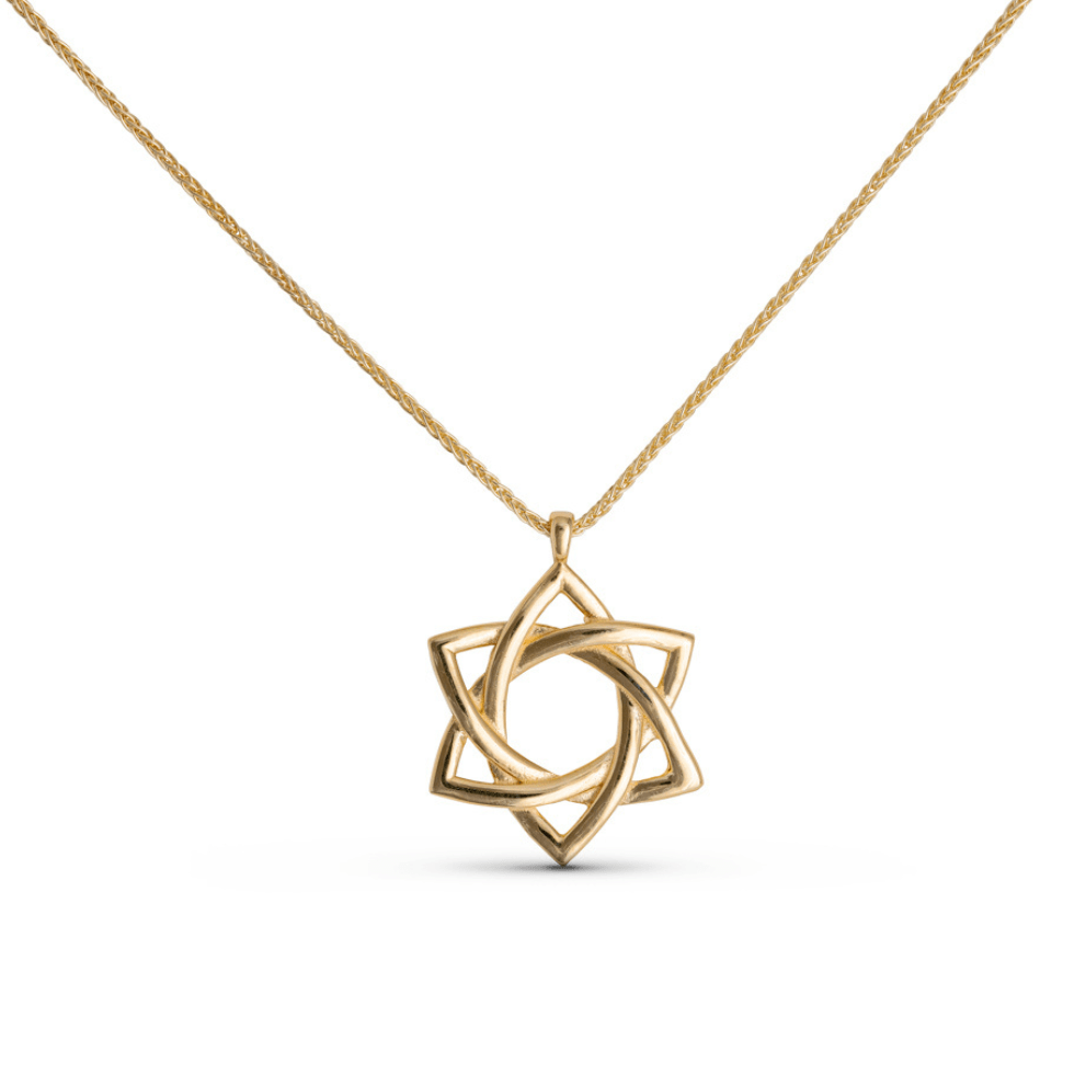 Star of David Swirl Necklace by Israel Museum - 14k Gold、mySite、topwebapps