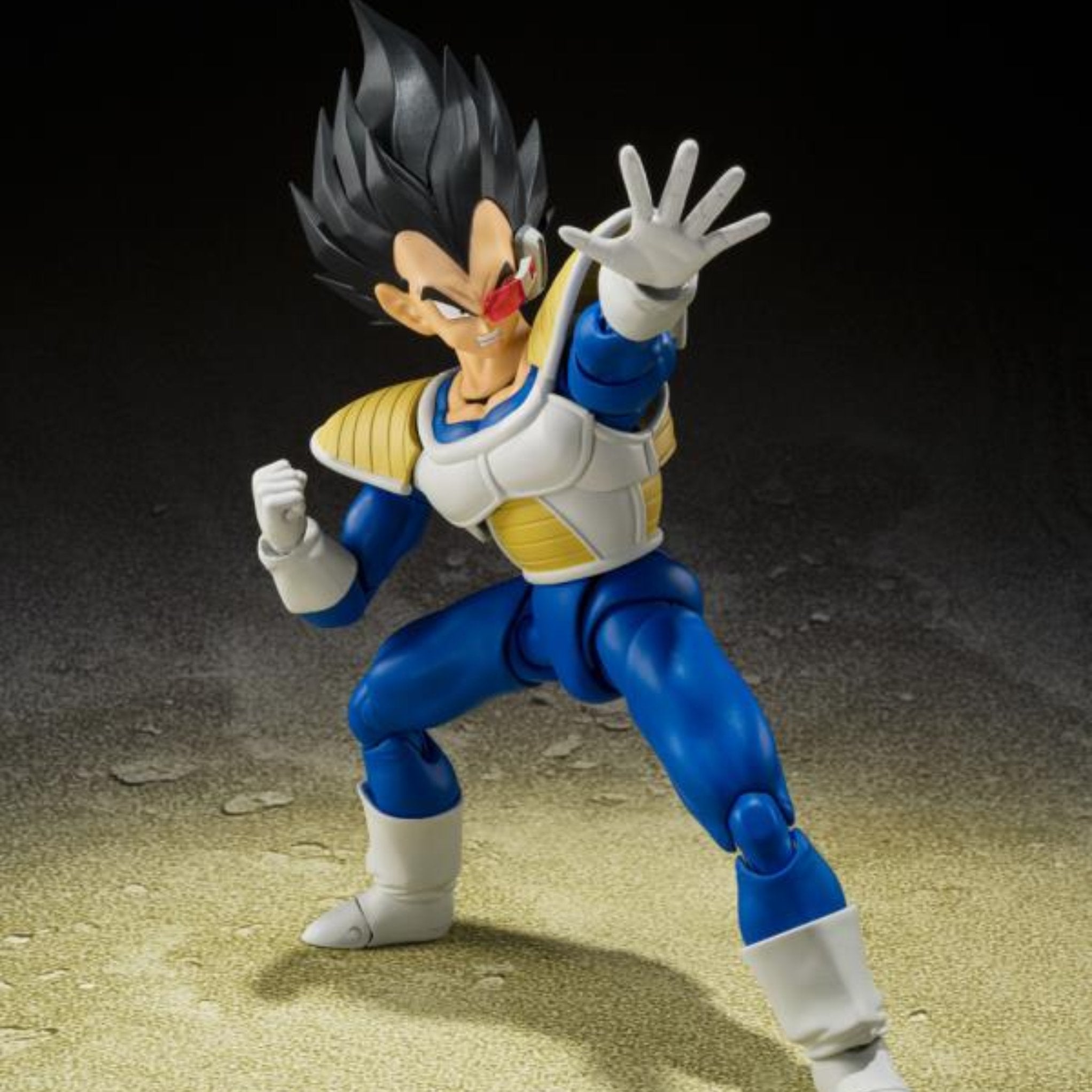 S.H. Figuarts Premium Bandai Exclusive Dragonball Z Vegeta (Power Level 24000)、mySite、hgirdovlk