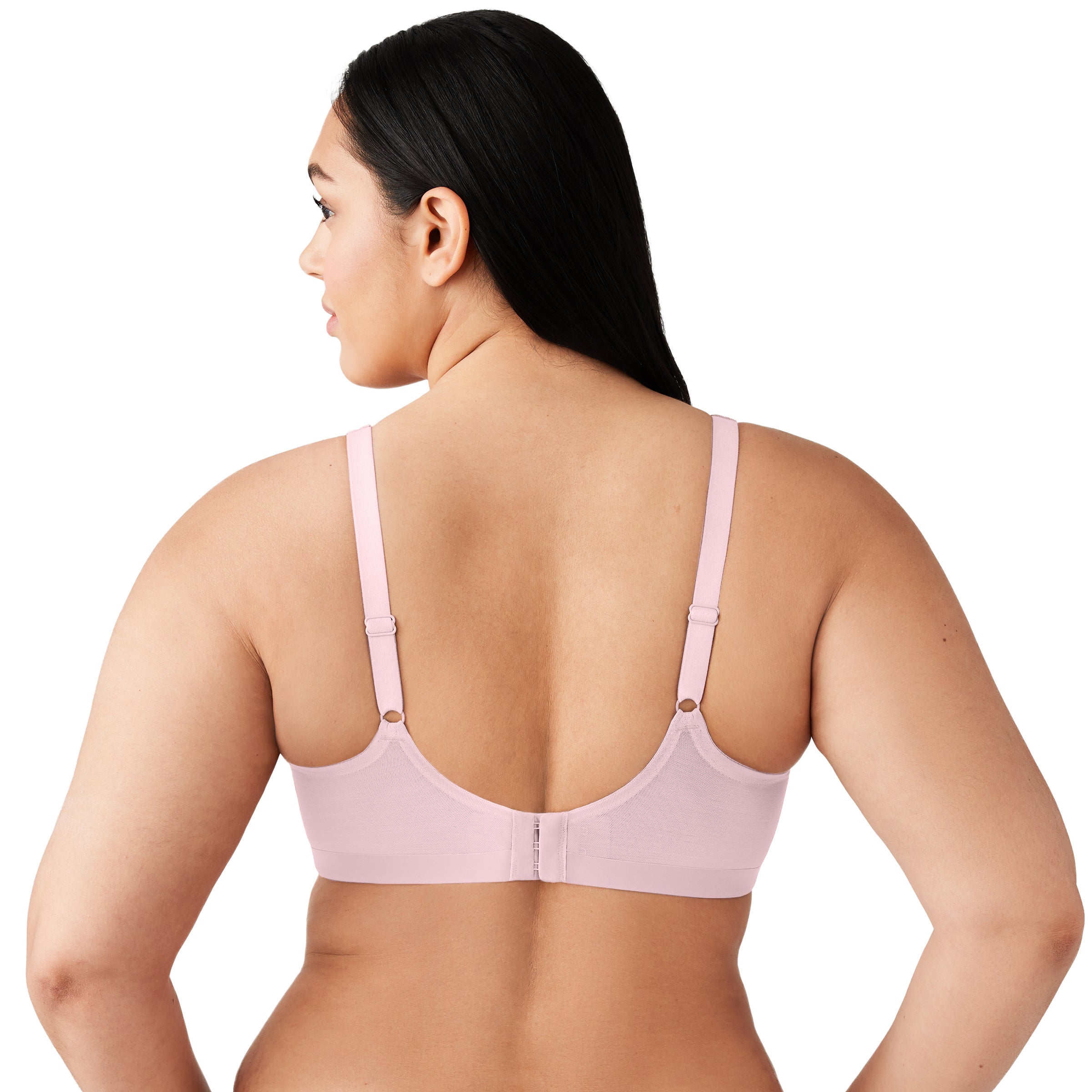  Shape revolution、mySite、sugarbowlscore