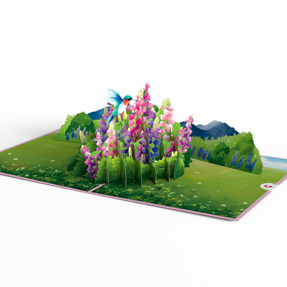 Lupine Hummingbird Pop-Up Card、mySite、solidvoid