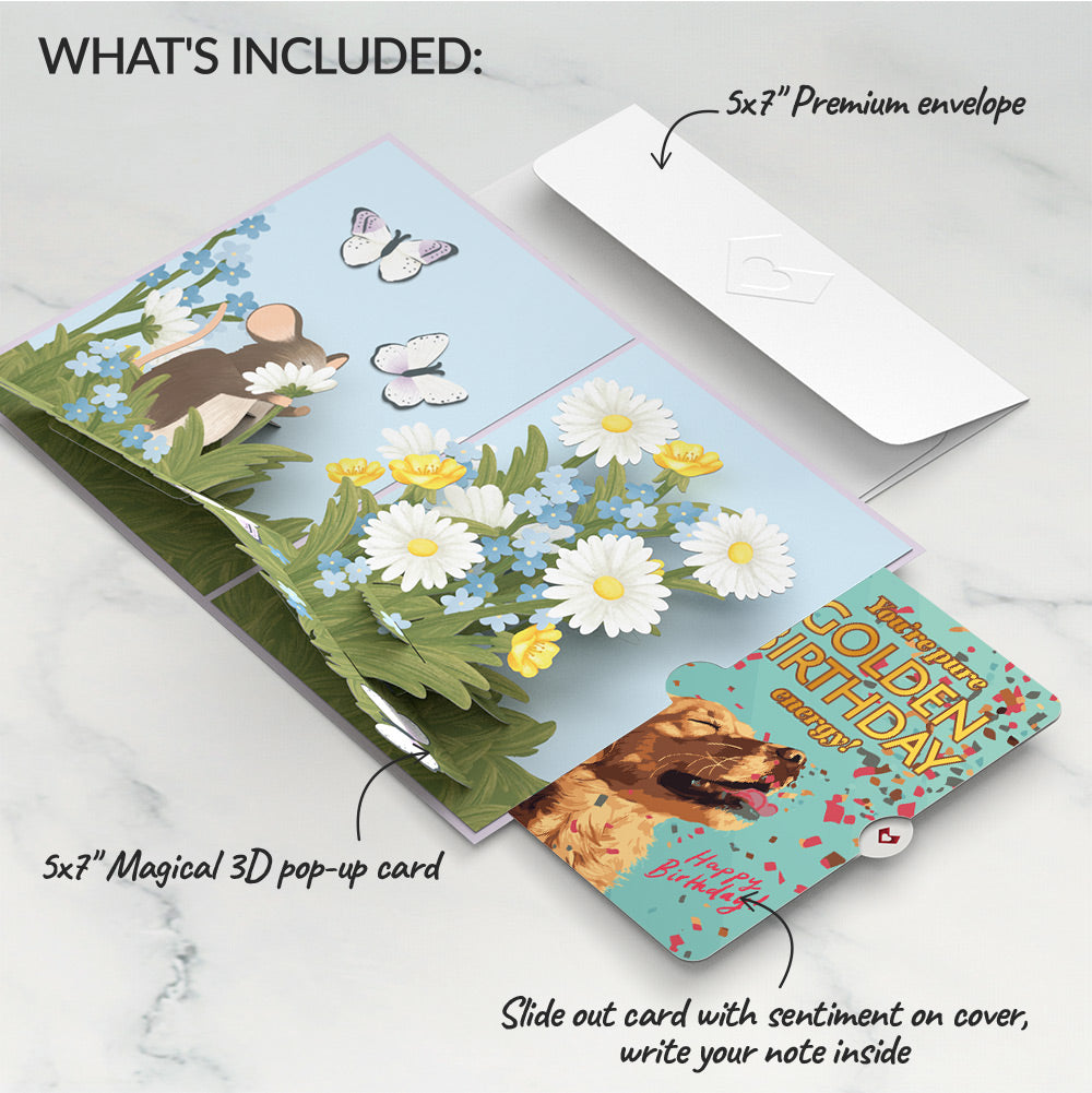 Field Mouse in the Flowers Birthday Pop-Up Card and Golden Energy Sentiment Set、mySite、solidvoid