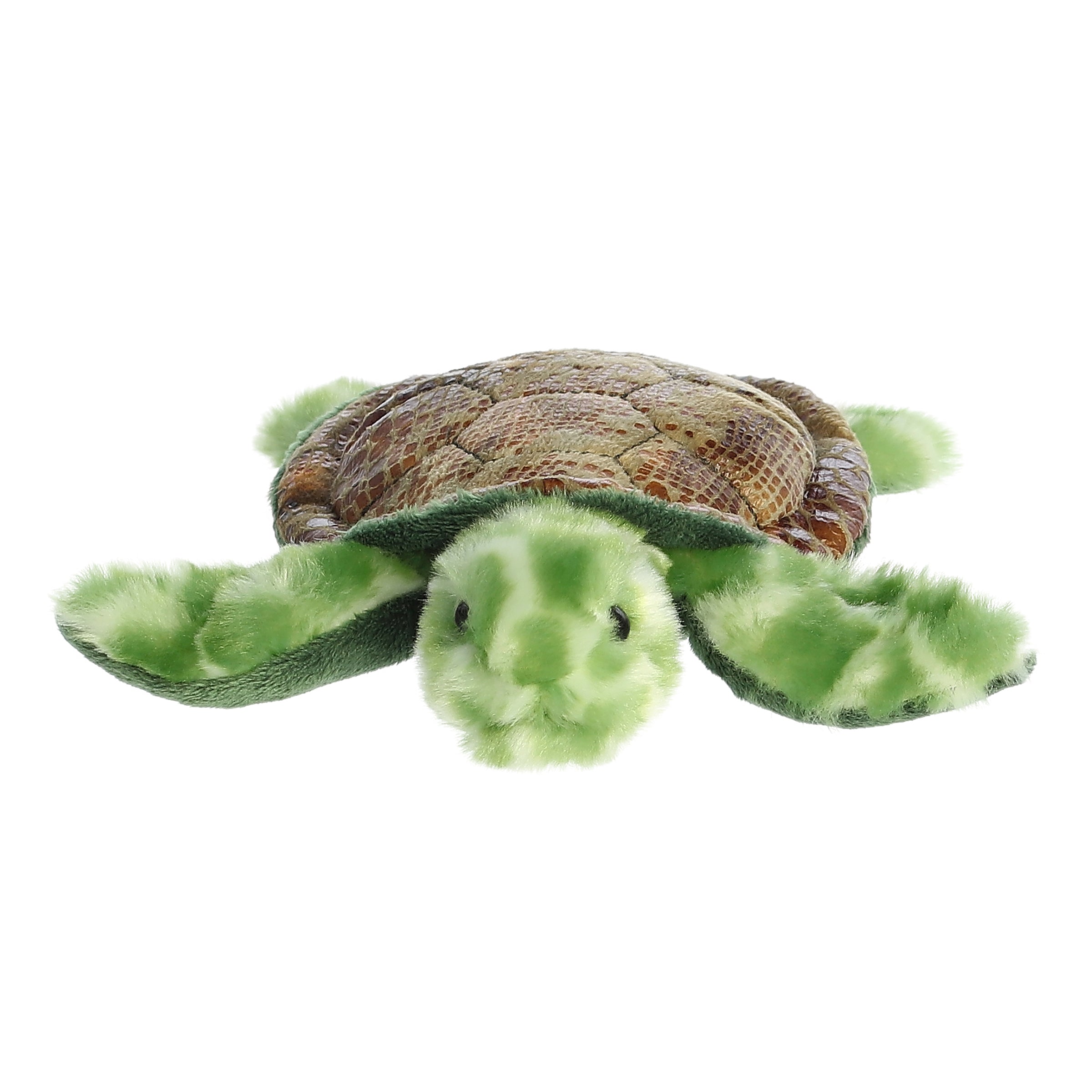 Aurora® - Mini Flopsie™ - 8 Splish Sea Turtle™、mySite、g9winljtr