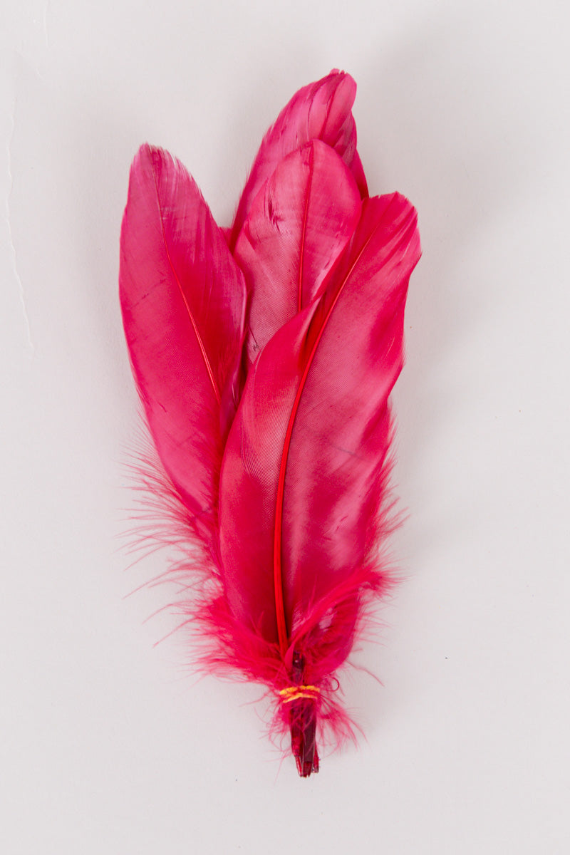 Goose Feathers Bundle of 6 - Yellow Rubber Band - FINAL SALE、mySite、hinf8tx79