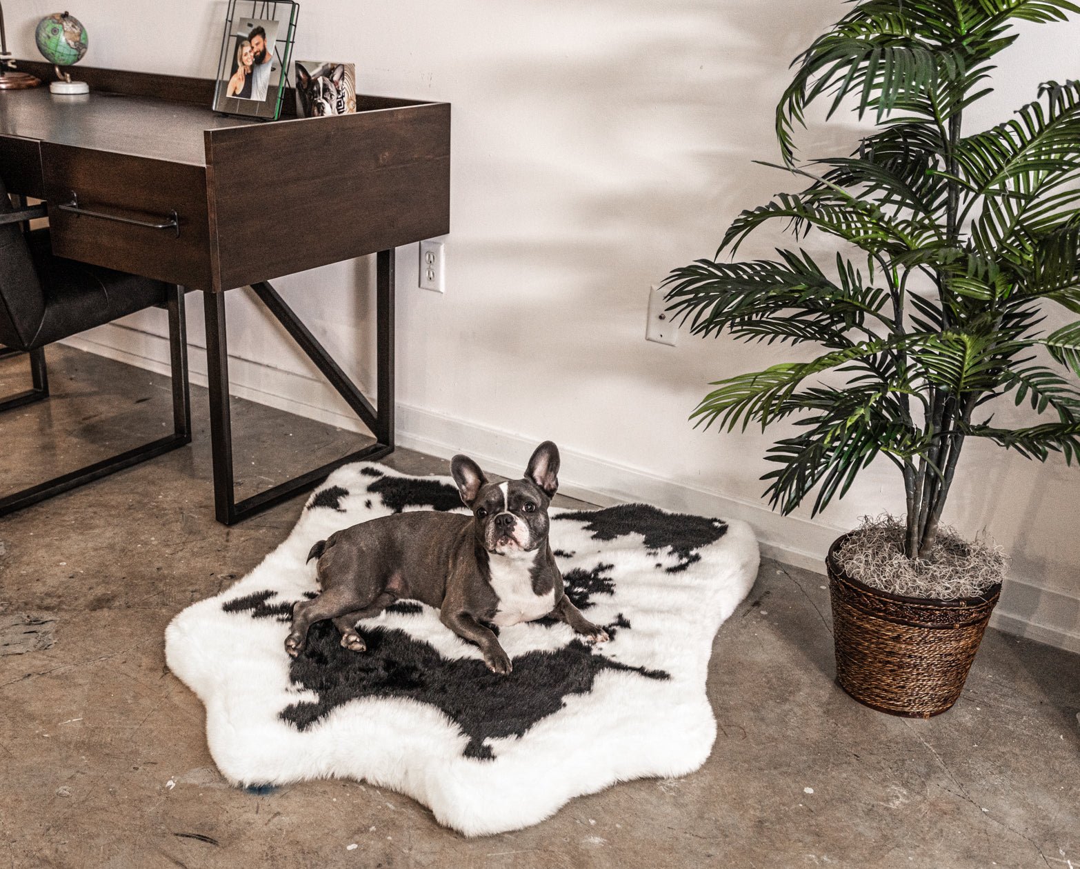 PupRug™ Animal Print Memory Foam Dog Bed - Black Faux Cowhide、mySite、solidvoid