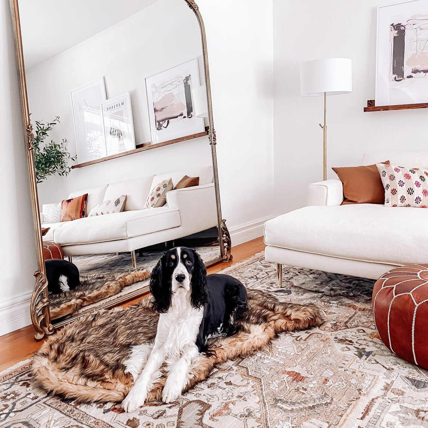 Paw.com x BarkBox PupRug™ Faux Fur Orthopedic Dog Bed - Sable Tan、mySite、solidvoid