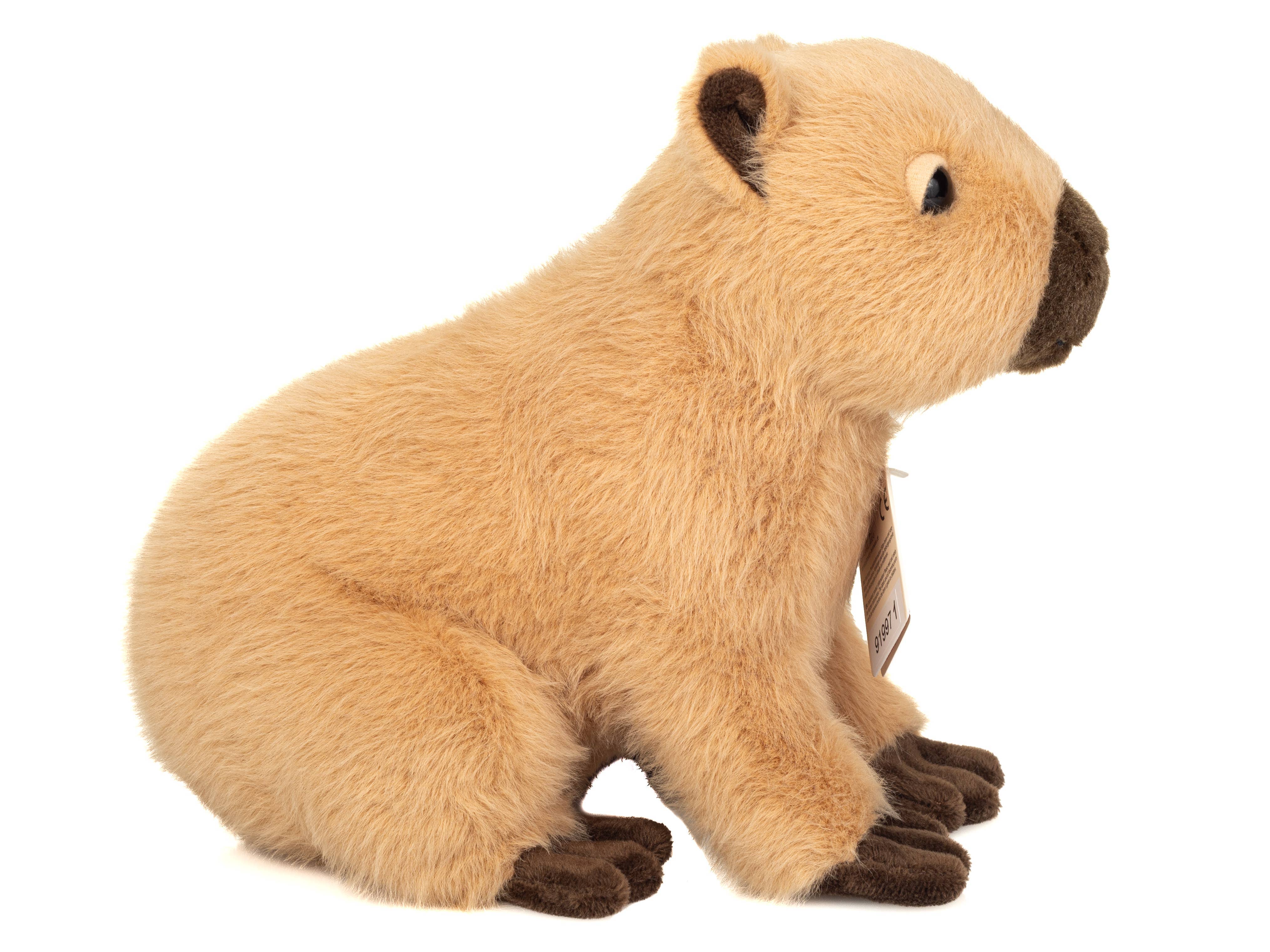 Adorable Capybara by Teddy Hermann、mySite、g9winljtr