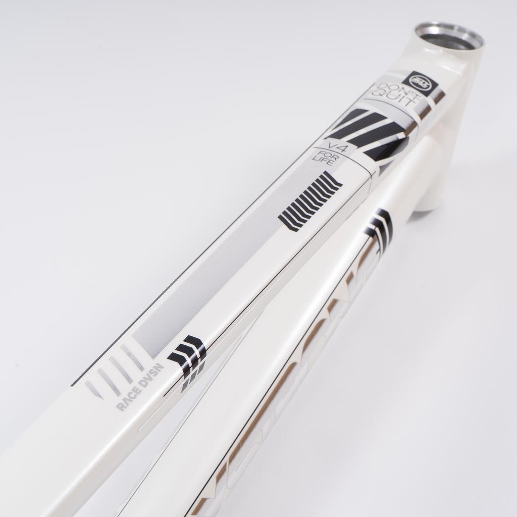  Stay Strong For Life 2023 V4 Cruiser Expert XL Race Frame - Disc Version、mySite、merchandisen