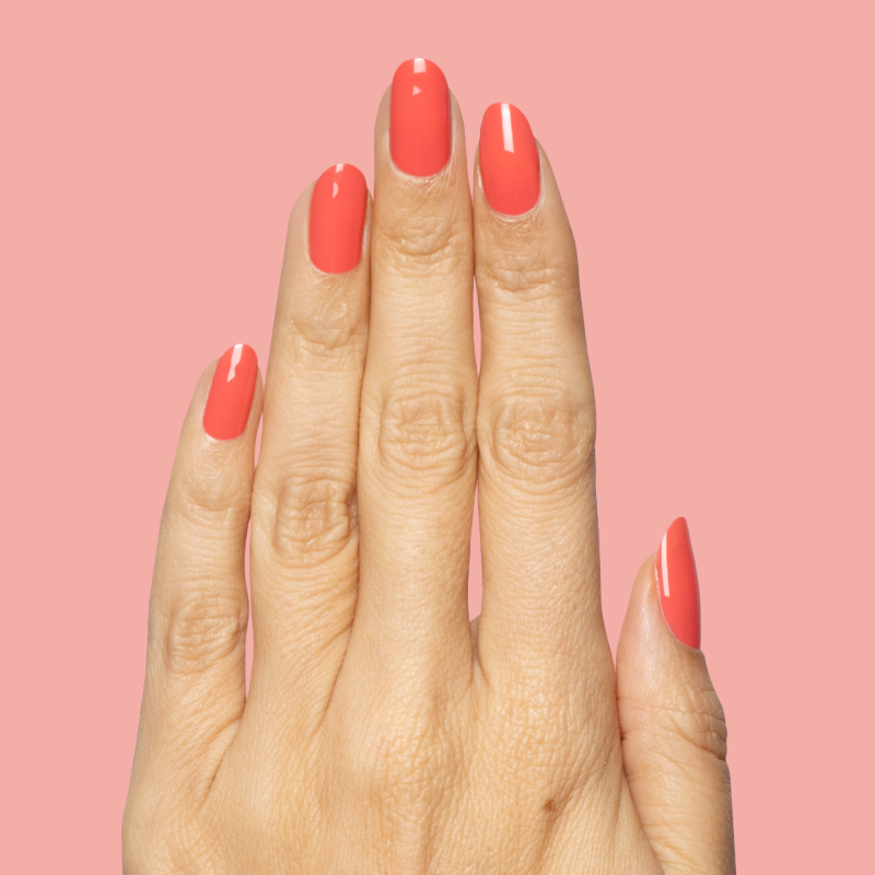 Field Day - Gel、mySite、solidvoid