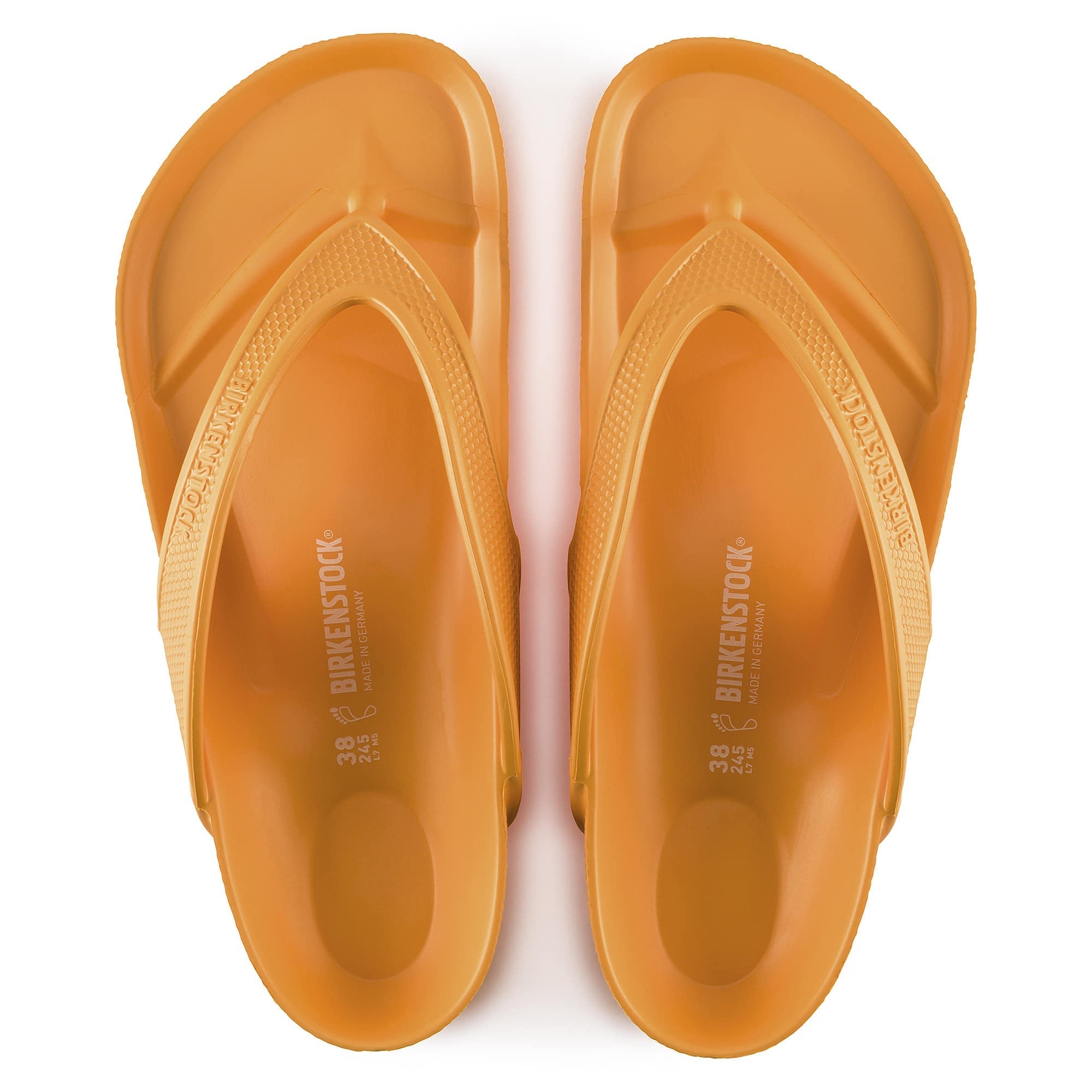 Honolulu EVA、mySite、gtrtttuynbv