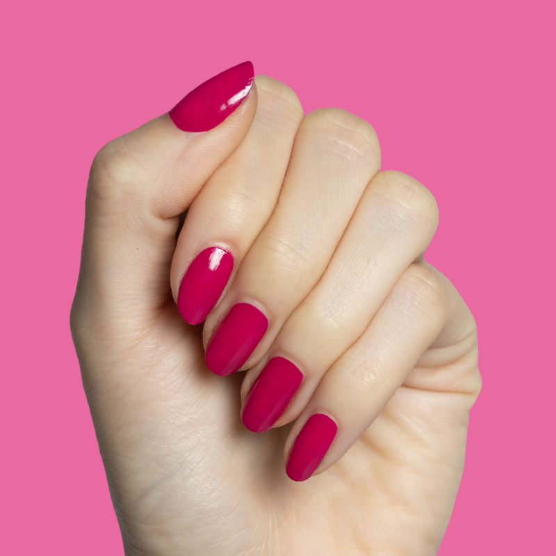 Biggest Bow、mySite、solidvoid