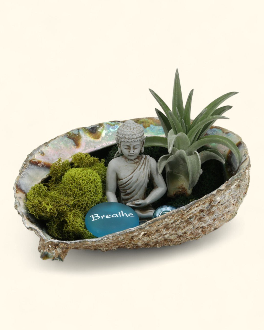 Breathe Abalone Shell Zen Terrarium、mySite、topwebapps
