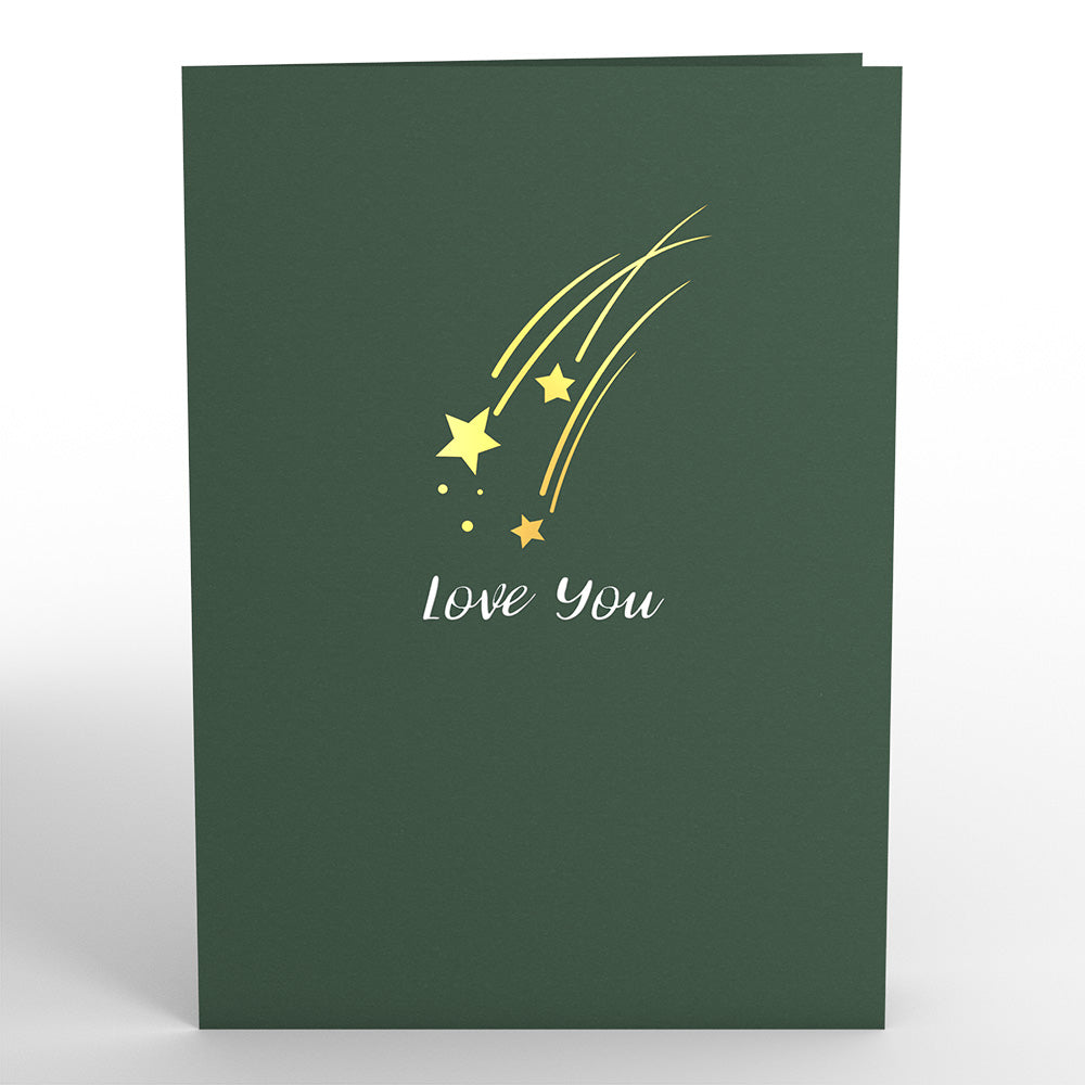 Love You to the Moon and Back Pop-Up Card、mySite、solidvoid