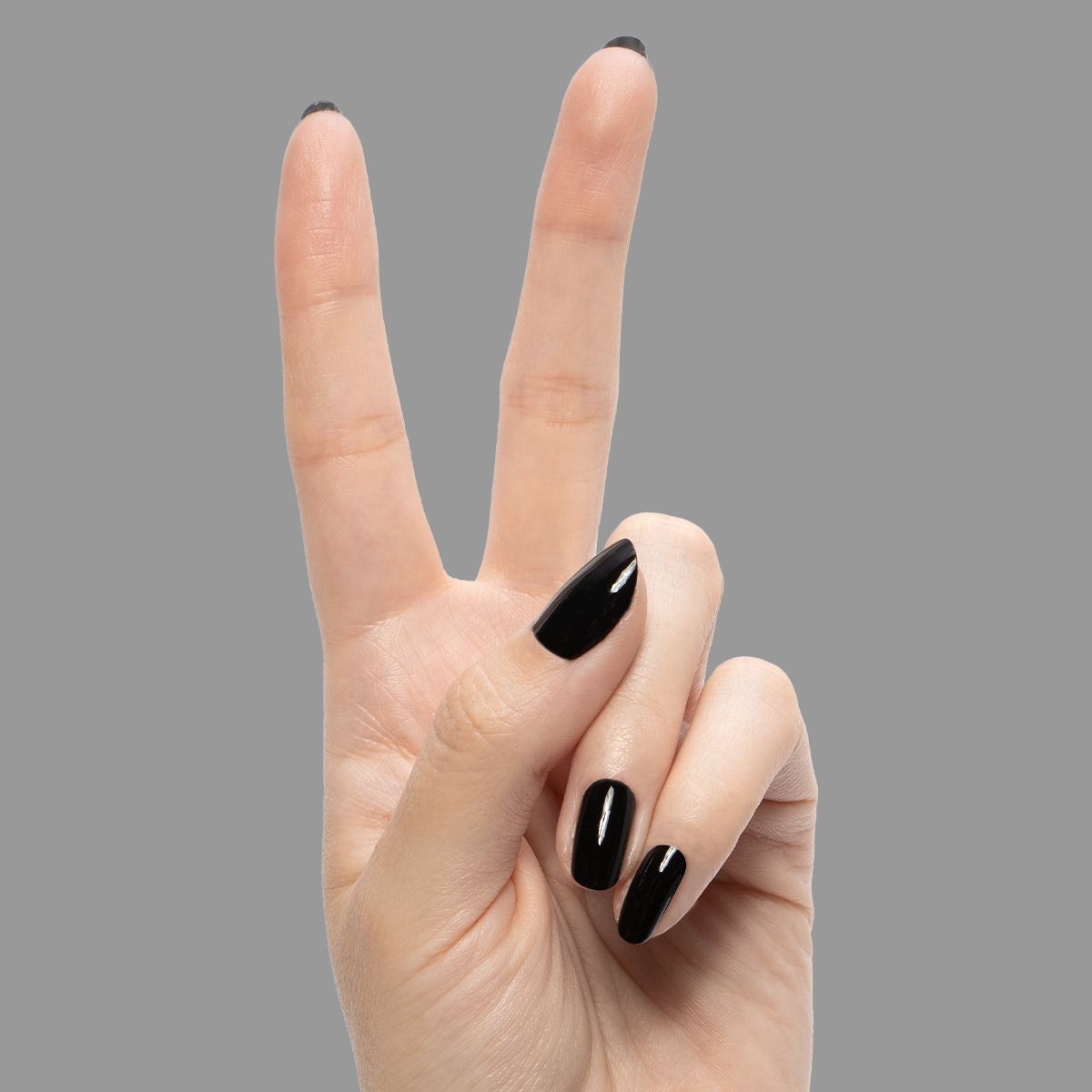 E+M - Gel、mySite、solidvoid