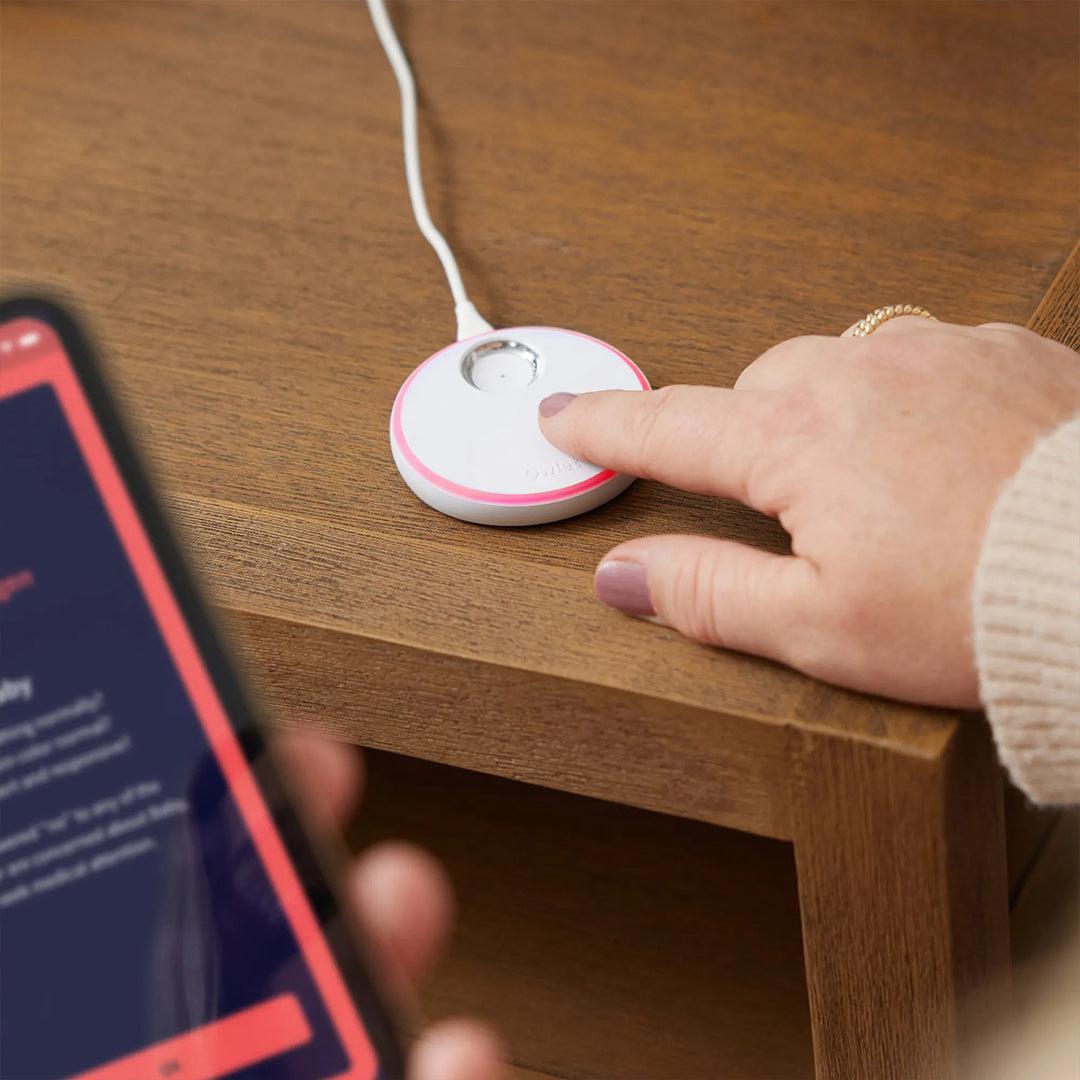  Owlet Dream Duo - White & Bedtime Blue、mySite、merchandisen