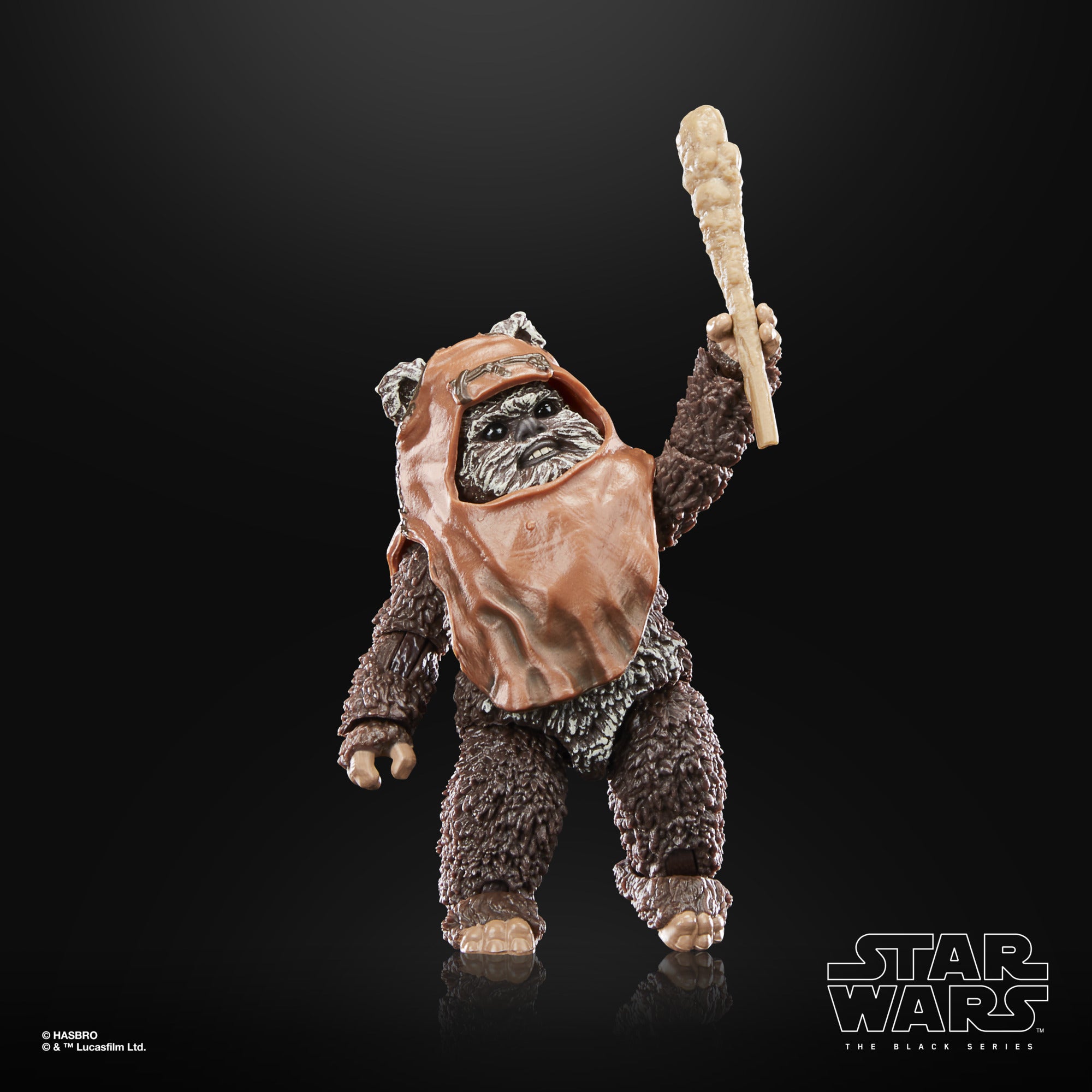 Star Wars The Black Series Return of the Jedi 40th Anniversary Wicket、mySite、hgirdovlk
