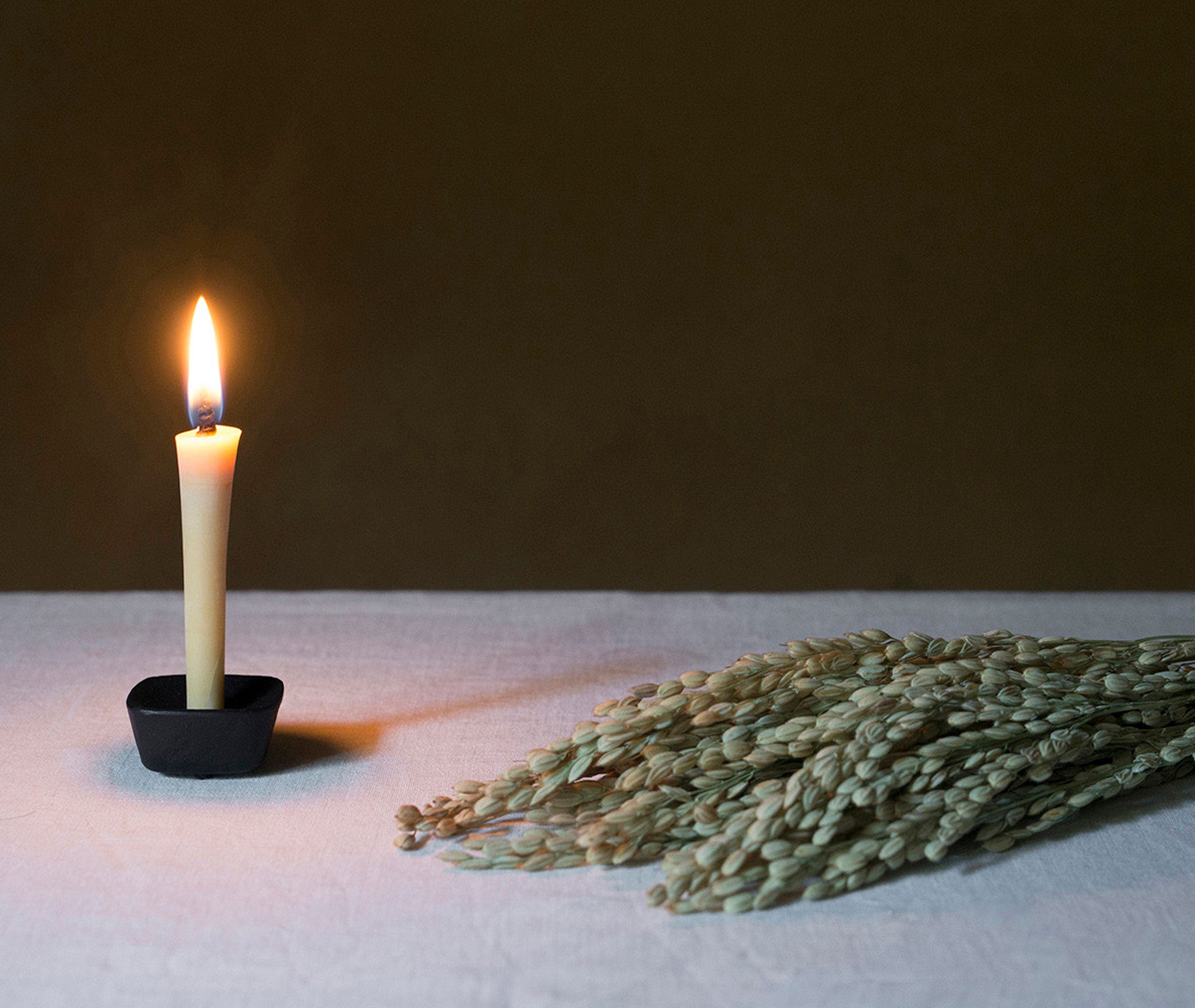 Kome-no-Megumi Rice Candles - 8 Set、mySite、topwebapps