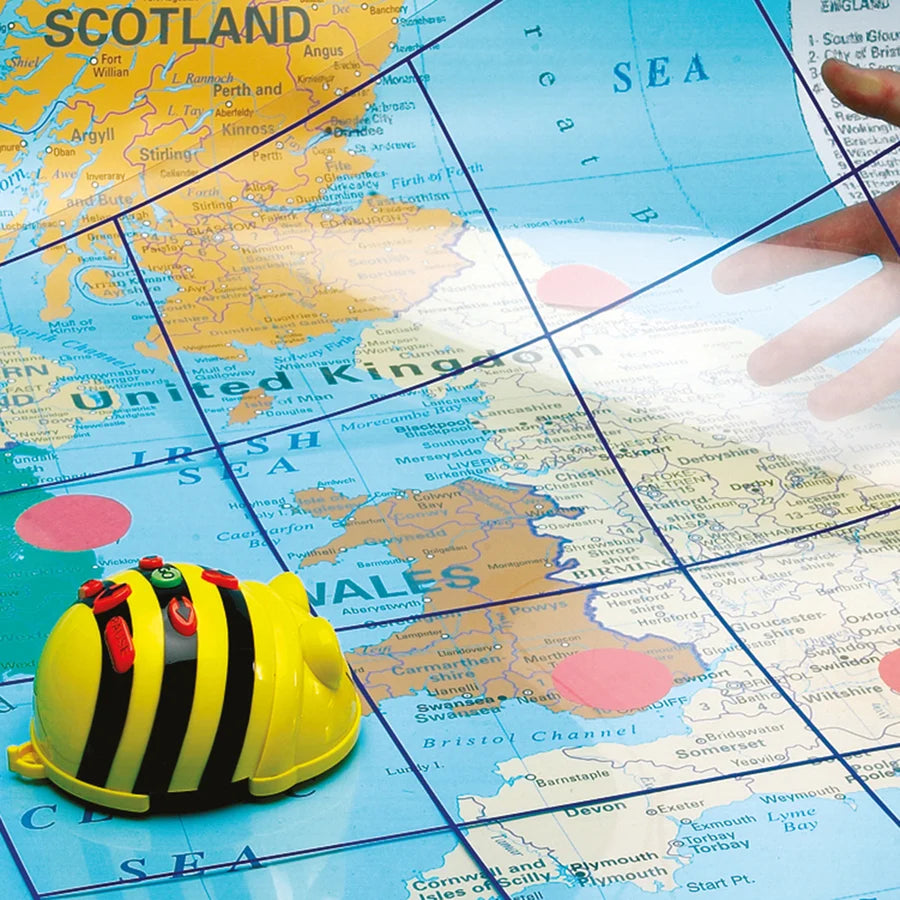 TTS Bee-Bot Transparent Grid Mat、mySite、lovesweatpilates