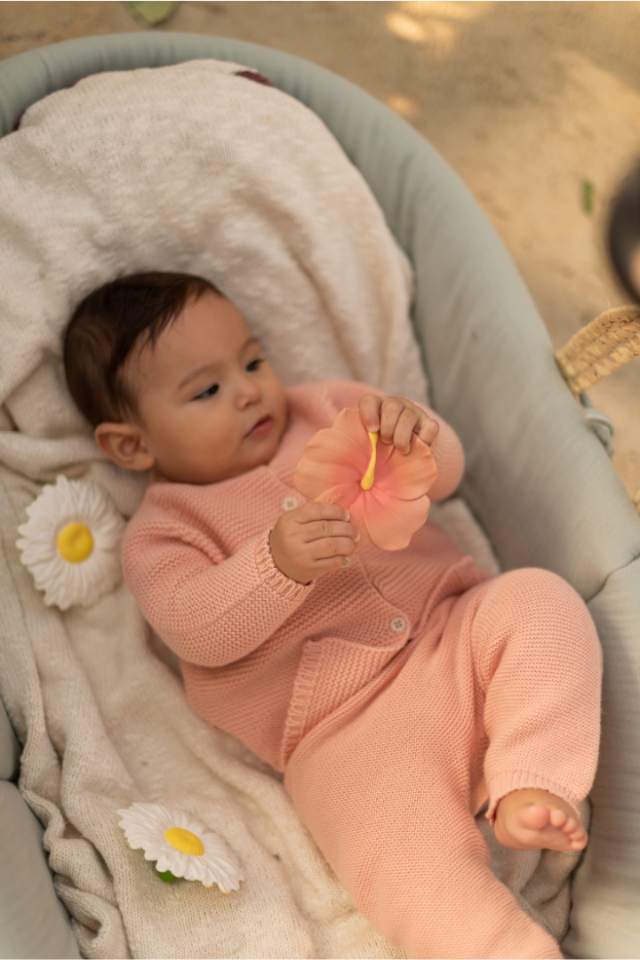 Iris the Hibiscus、mySite、g9winljtr