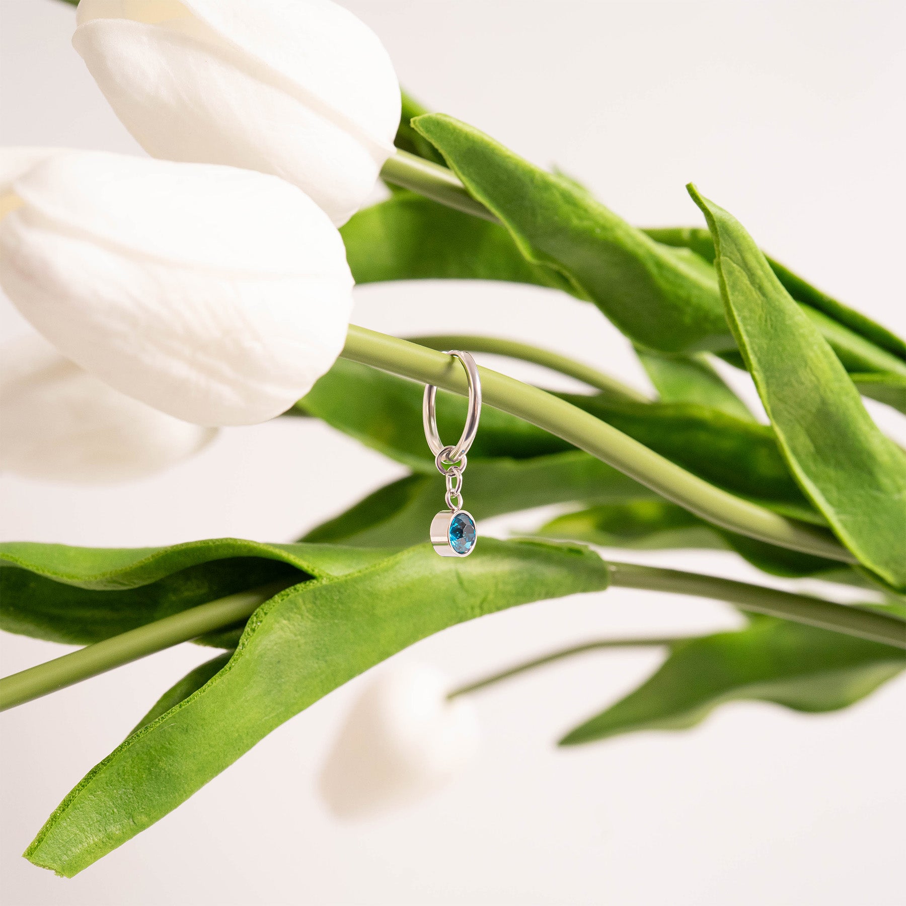 Stainless Steel Birthstone Huggie Earrings / ERJ0073、mySite、dreamappss