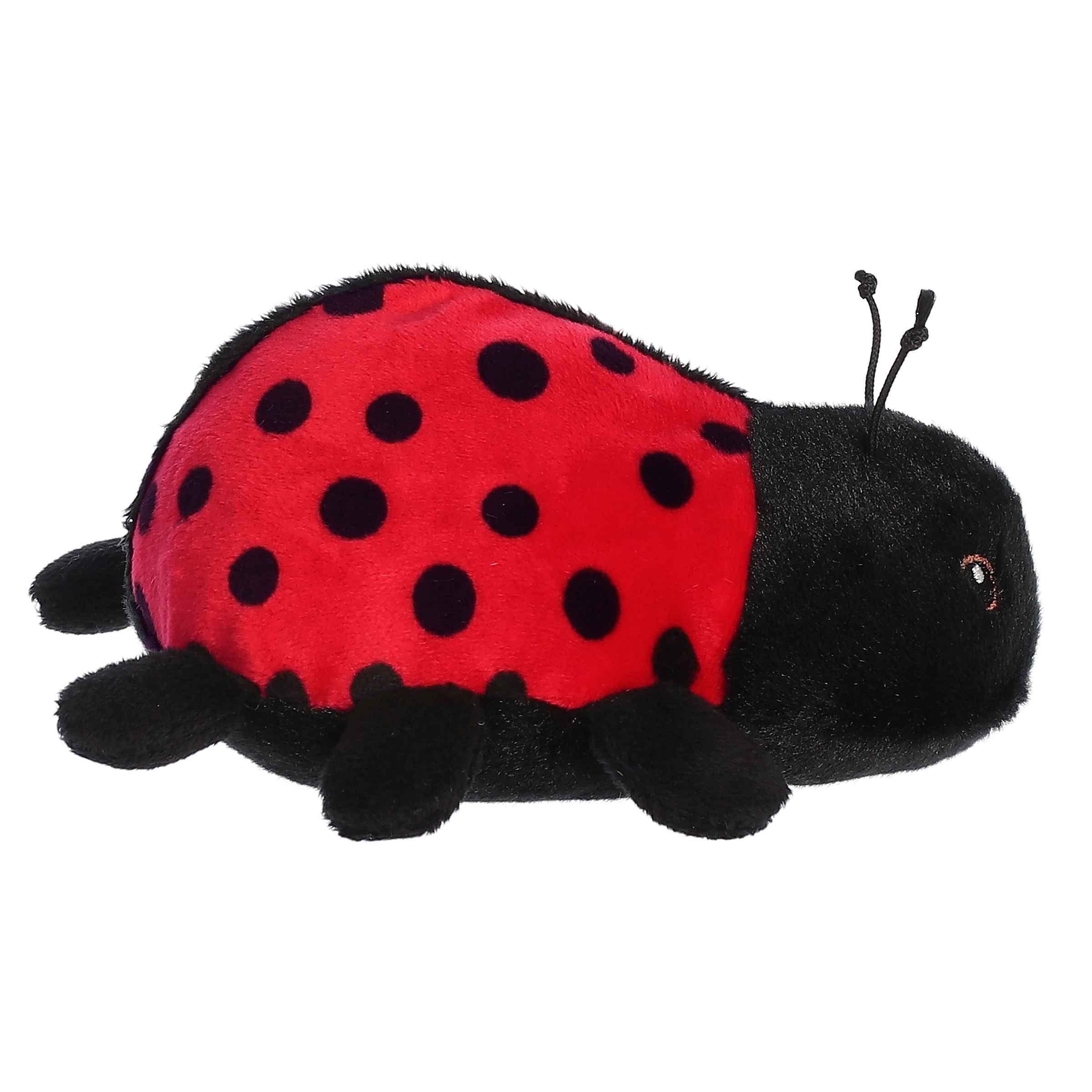 Aurora® - Eco Nation™ - Eco Softies™ - 8 Ladybug、mySite、g9winljtr