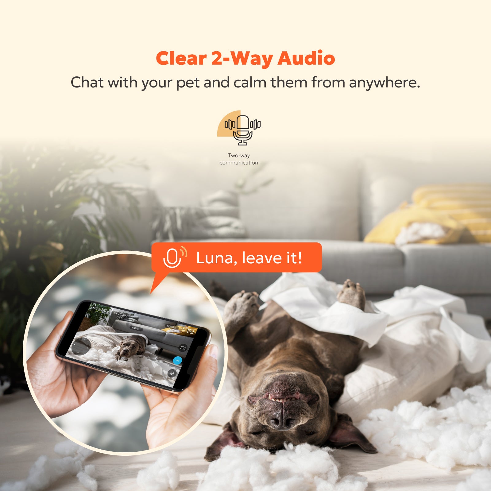 5MP Indoor Camera - W1 (Wired)、mySite、fannypackpong