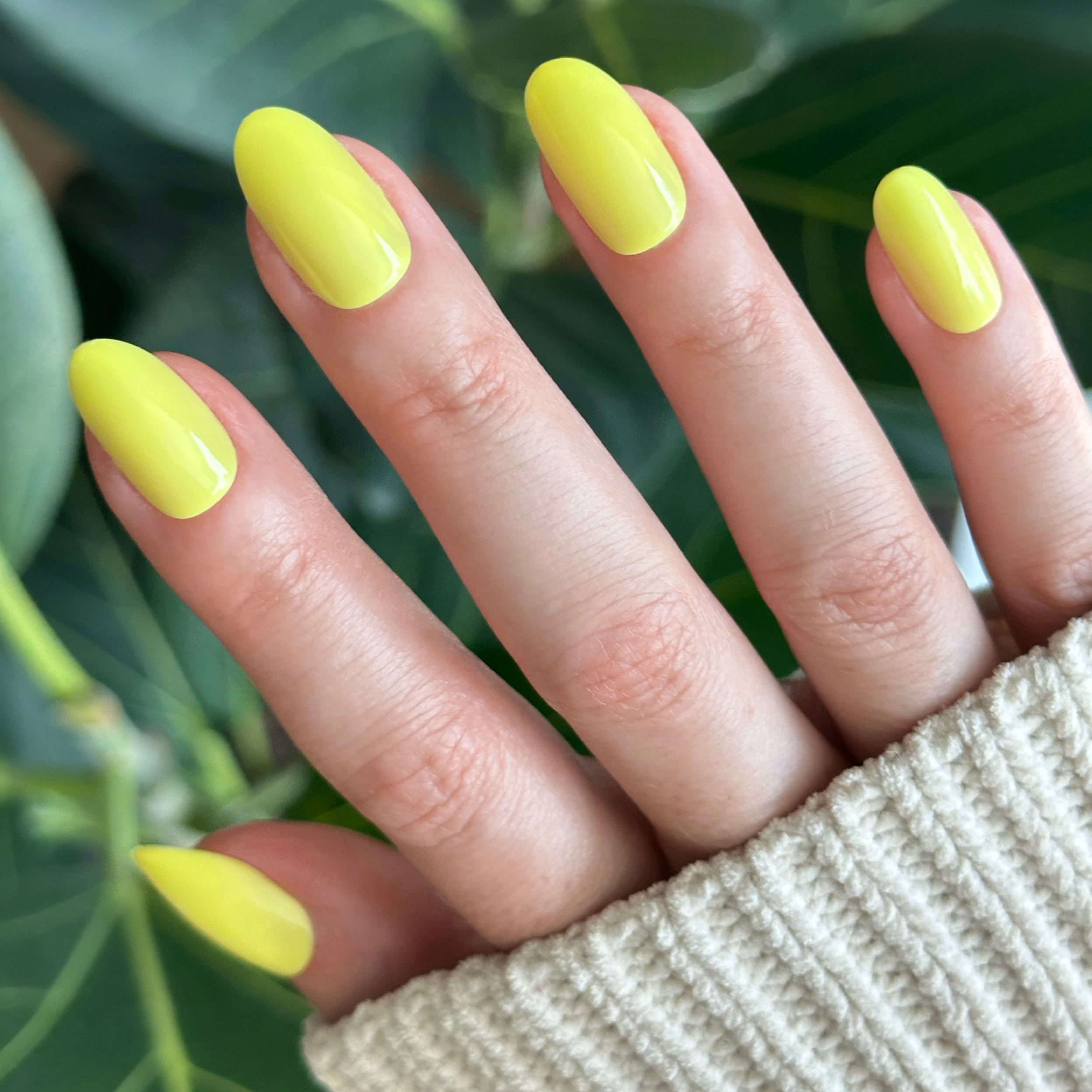 Game Set Mani - Press-On | Medium | Oval、mySite、solidvoid