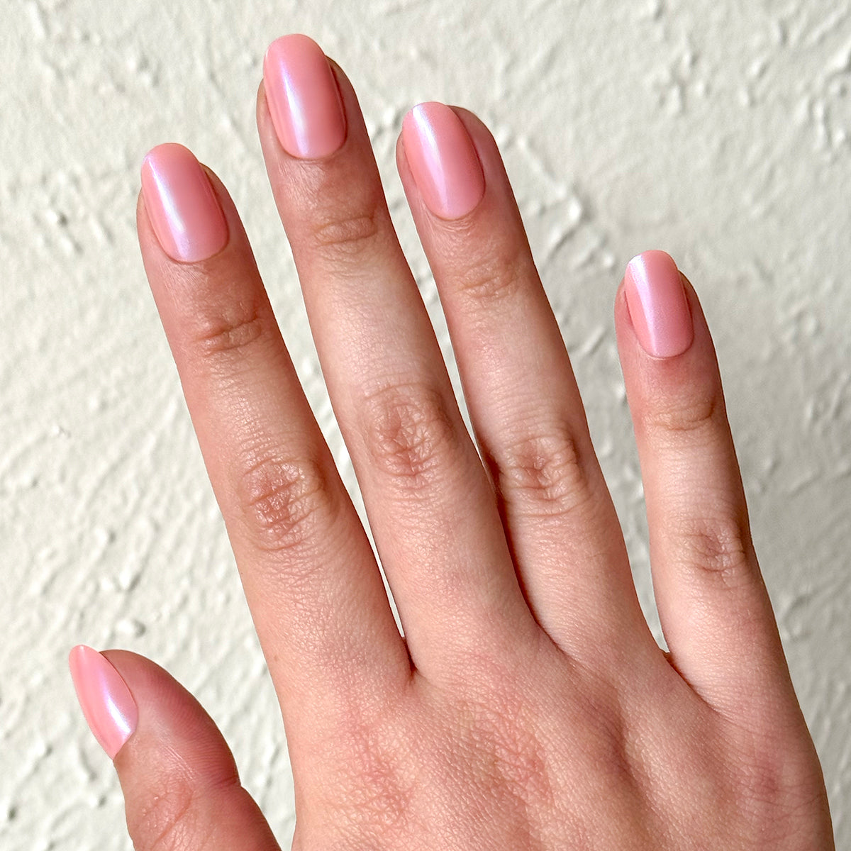 Olive Y'all | Short | Round - Tab Press-On、mySite、solidvoid