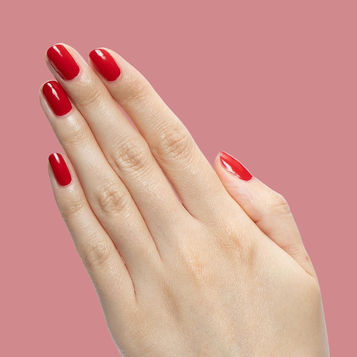 Secret Recipe、mySite、solidvoid