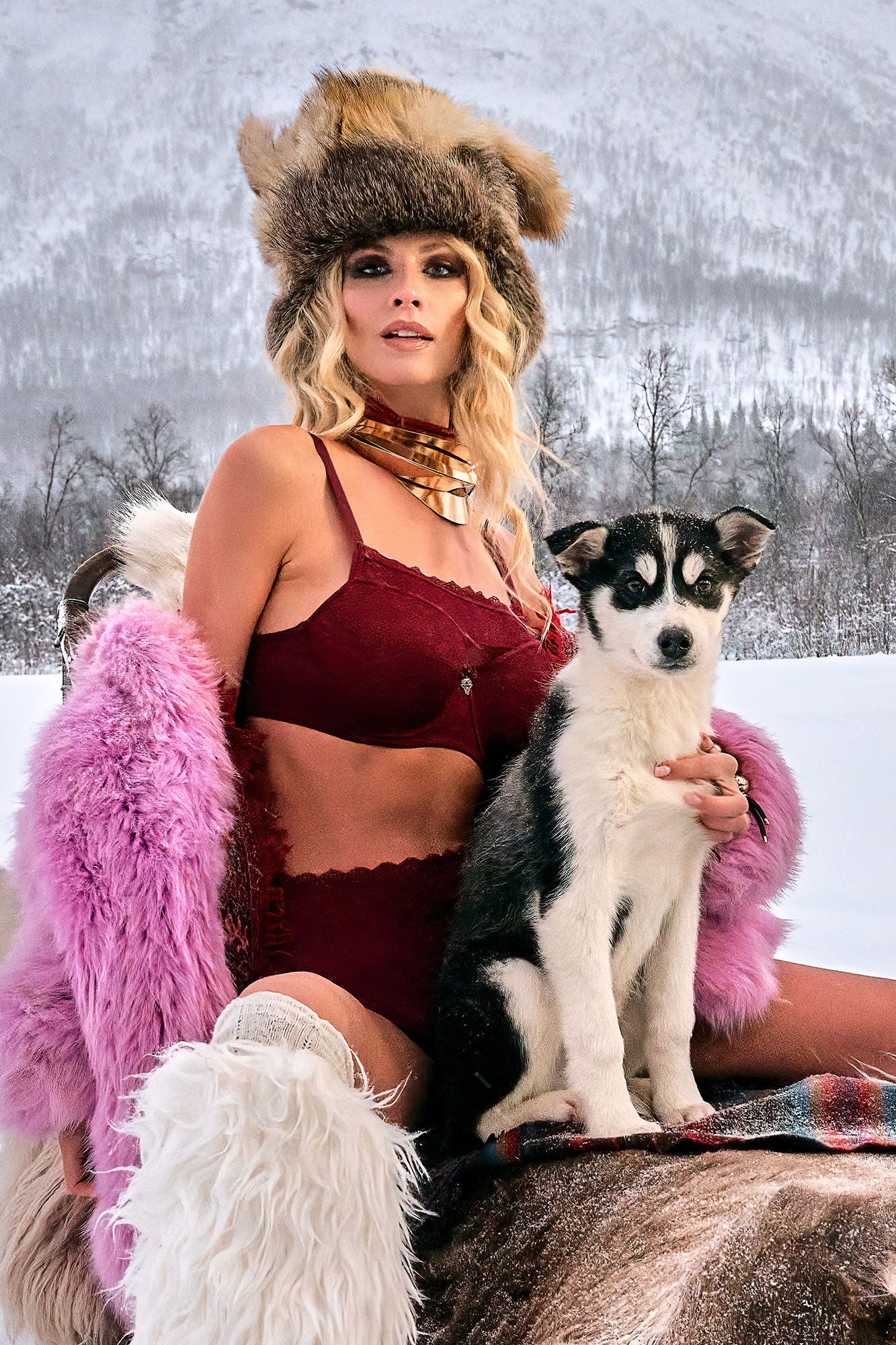 plunge balcony bra、mySite、bengalsvssteelers