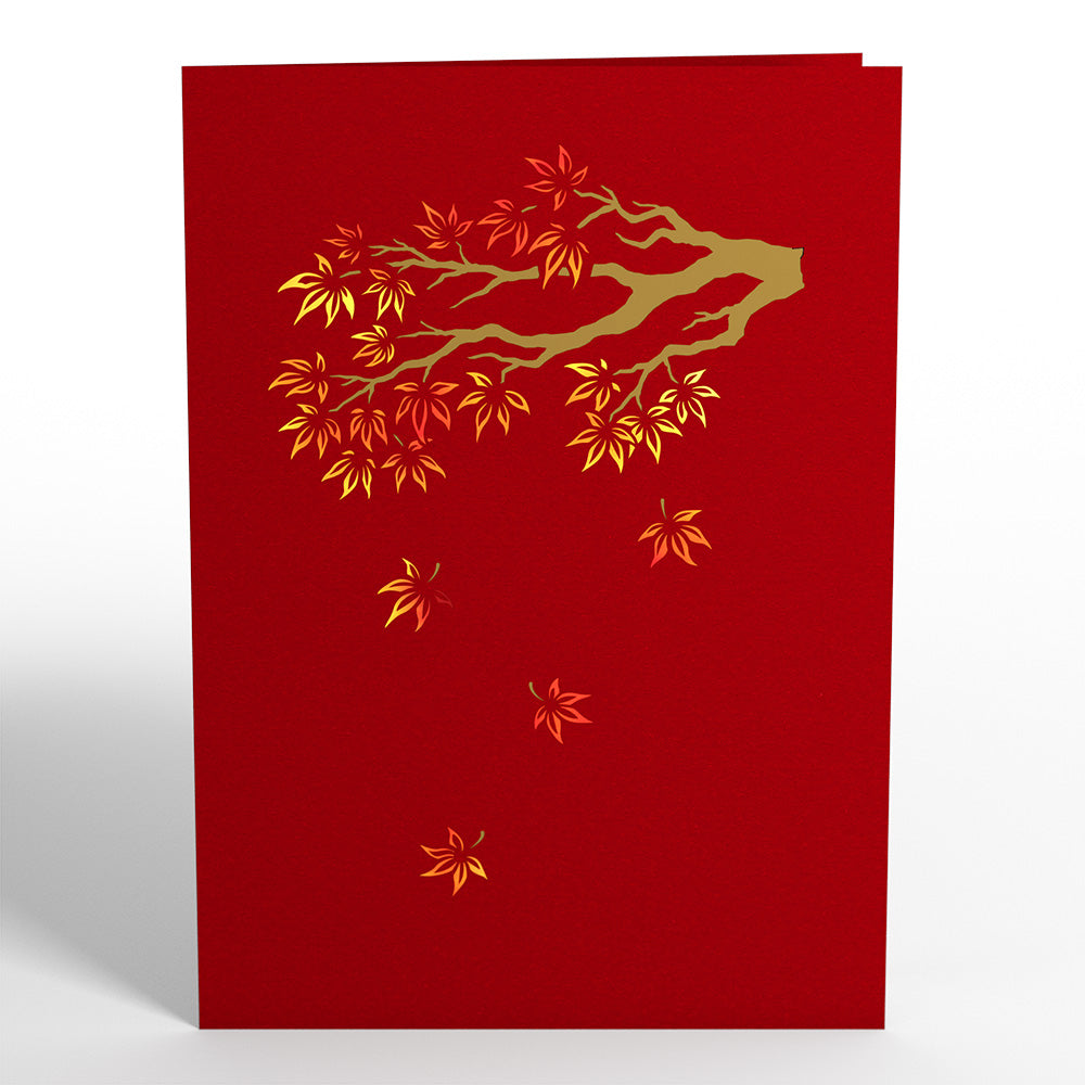 Sugar Maple Tree Pop-Up Card、mySite、solidvoid