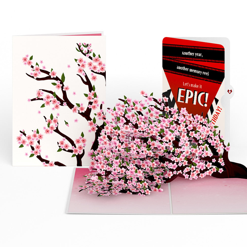 Cherry Blossom Branches in Bloom Birthday Pop-Up Card and Epic Reel Sentiment Set、mySite、solidvoid