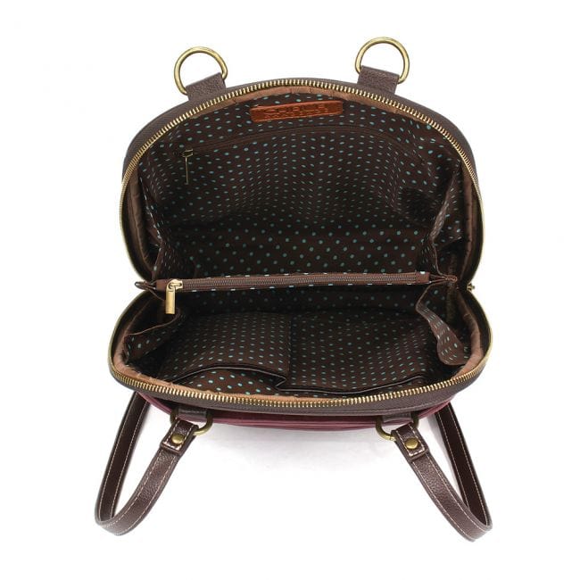 Paw Print Ivory Collection by Chala、mySite、g9winljtr