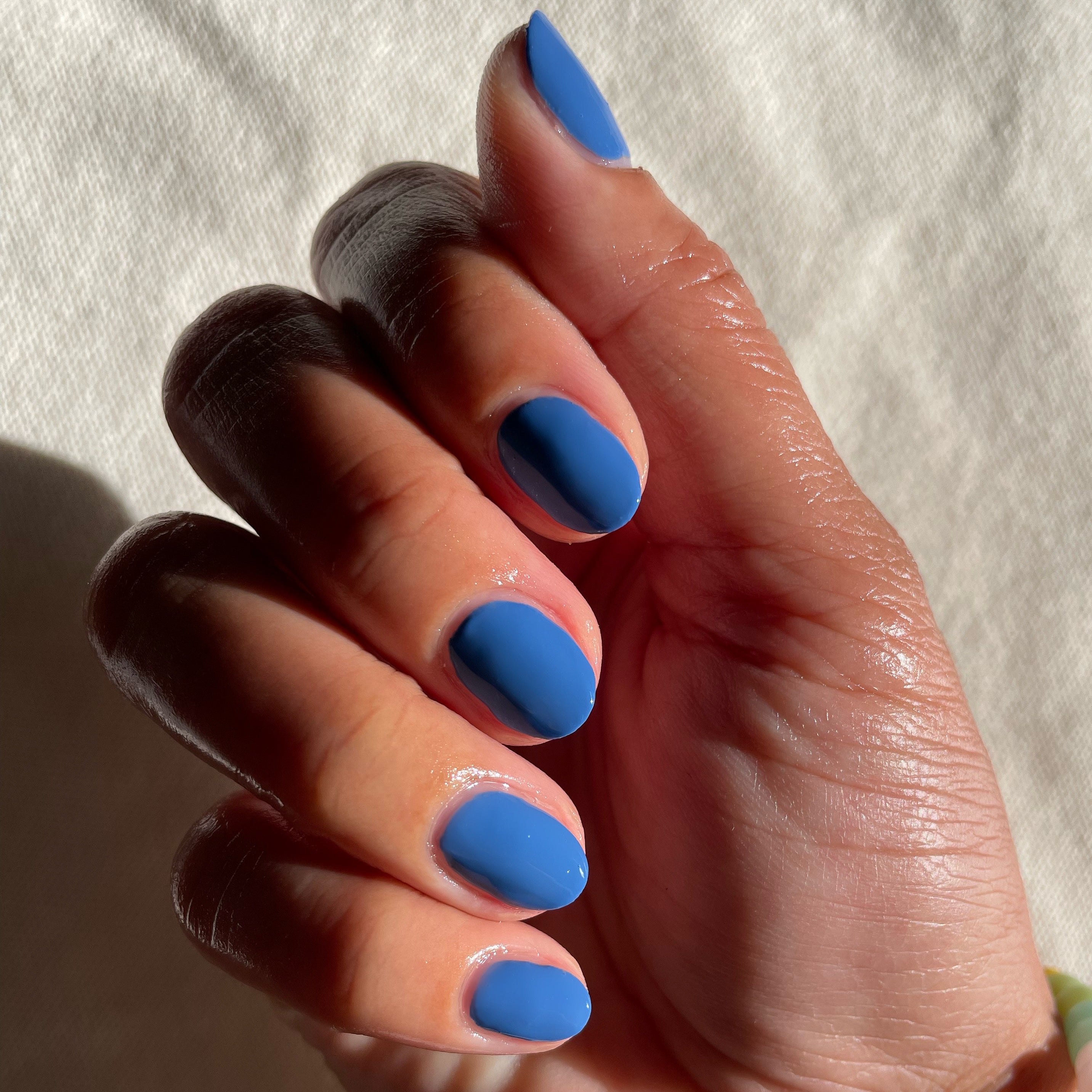 Blue Canoe、mySite、solidvoid