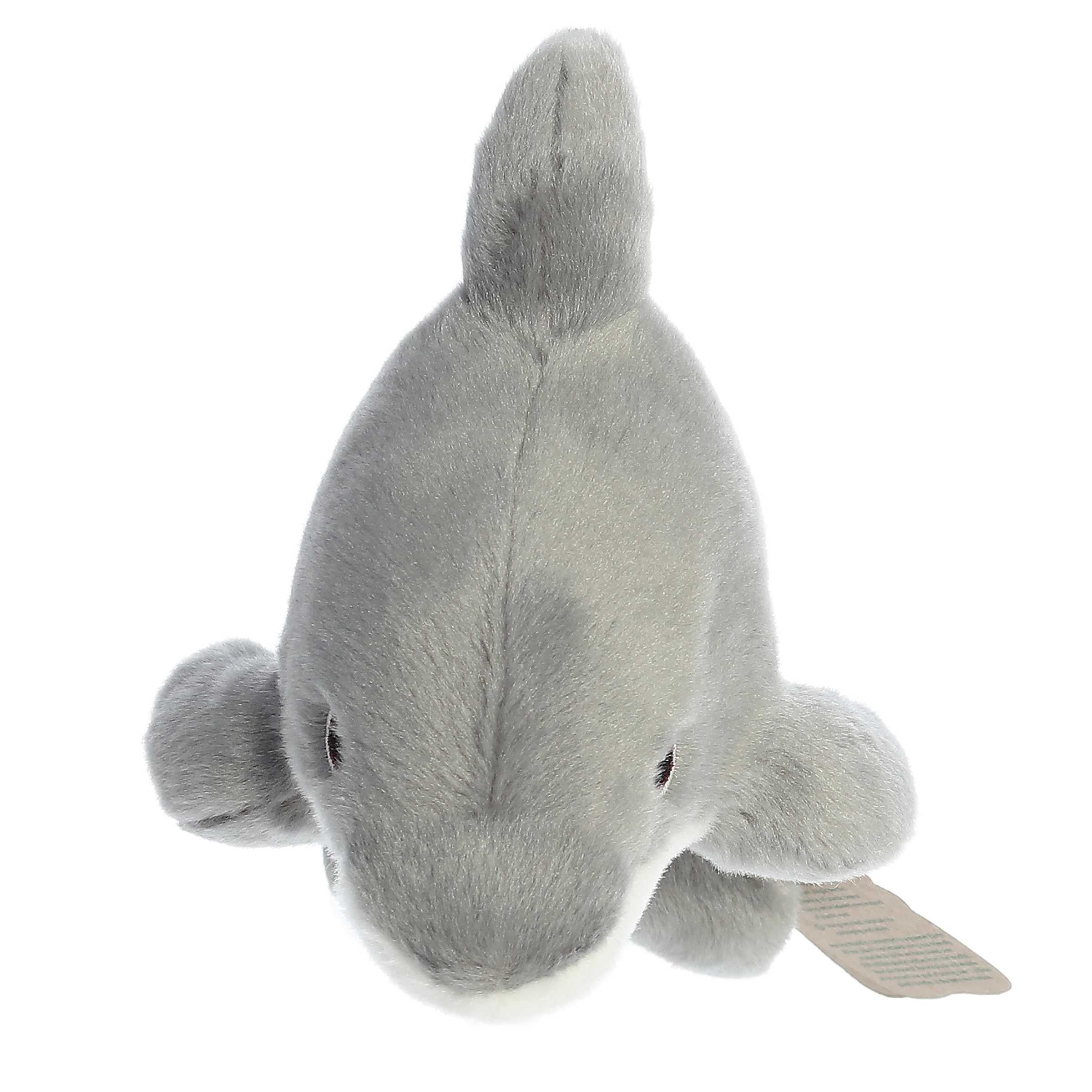 Aurora® - Eco Nation™ - Eco Softies™ - 8 Dolphin、mySite、g9winljtr
