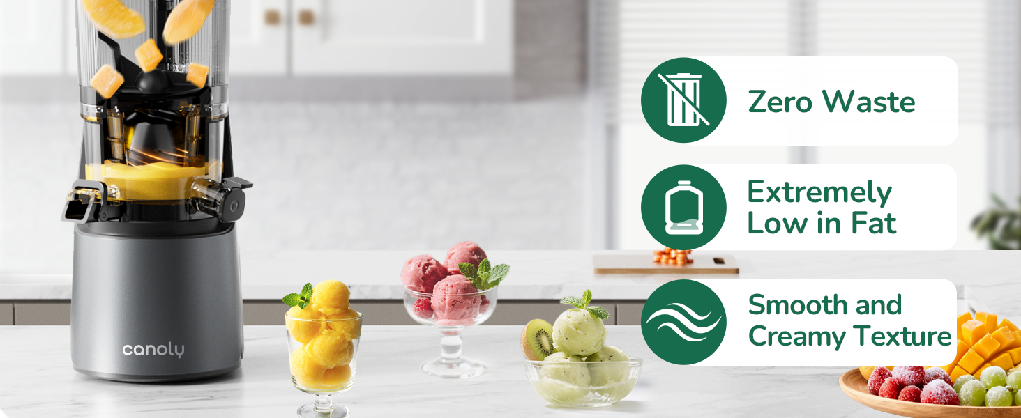 Canoly C16 Cold Press Juicer