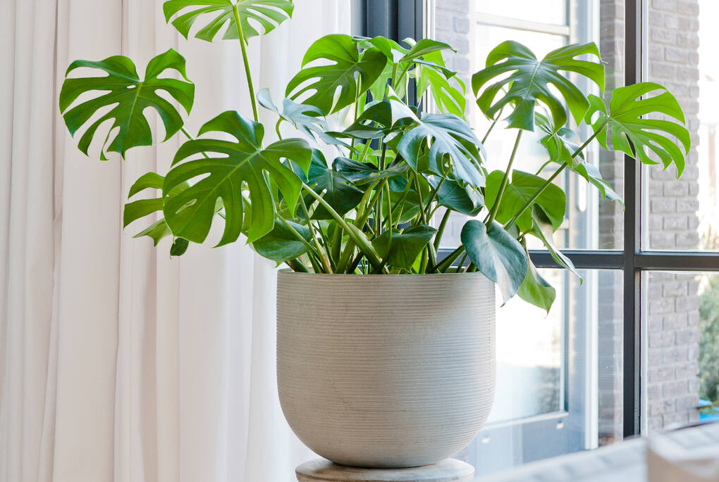  Cody Horizontal Ridged Planter、mySite、elrpsem3k