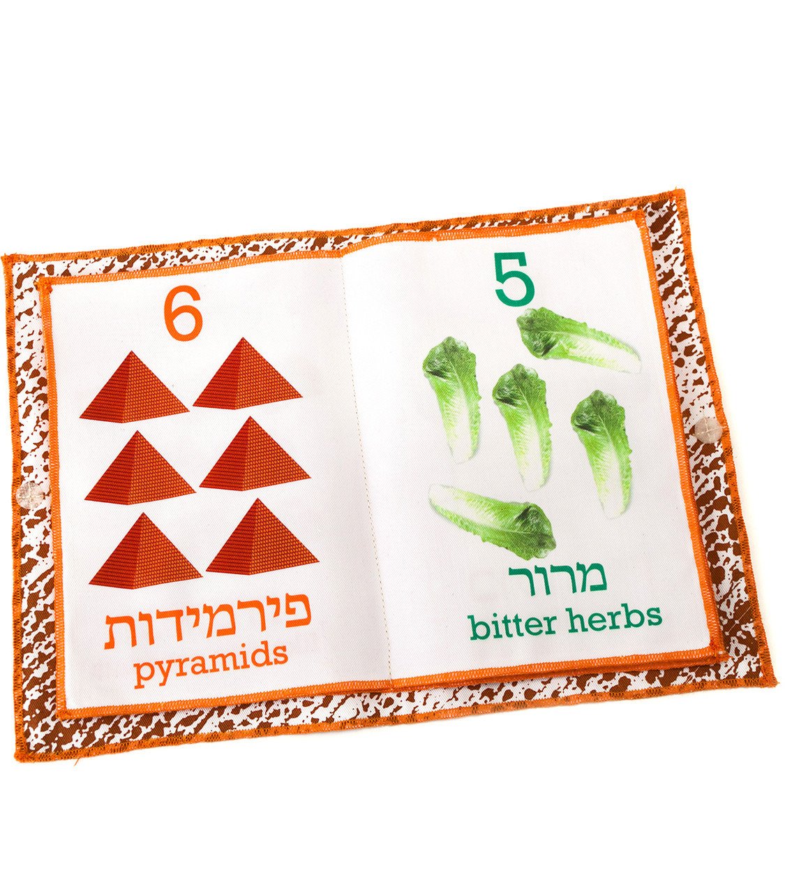 Passover Counting Book by Barbara Shaw、mySite、topwebapps