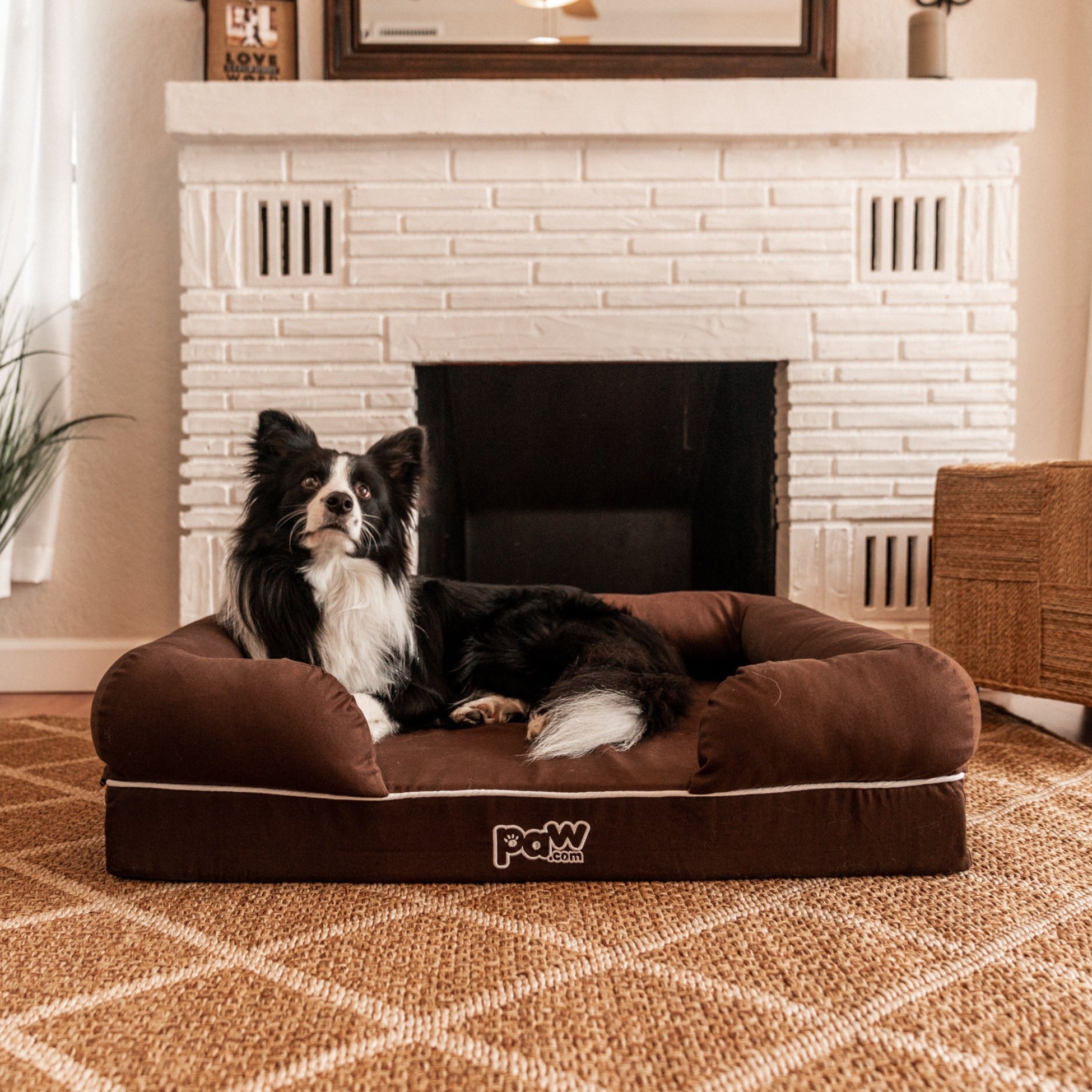 PupLounge™ Memory Foam Dog Bed Cover - Brown (Bed Not Included)、mySite、solidvoid