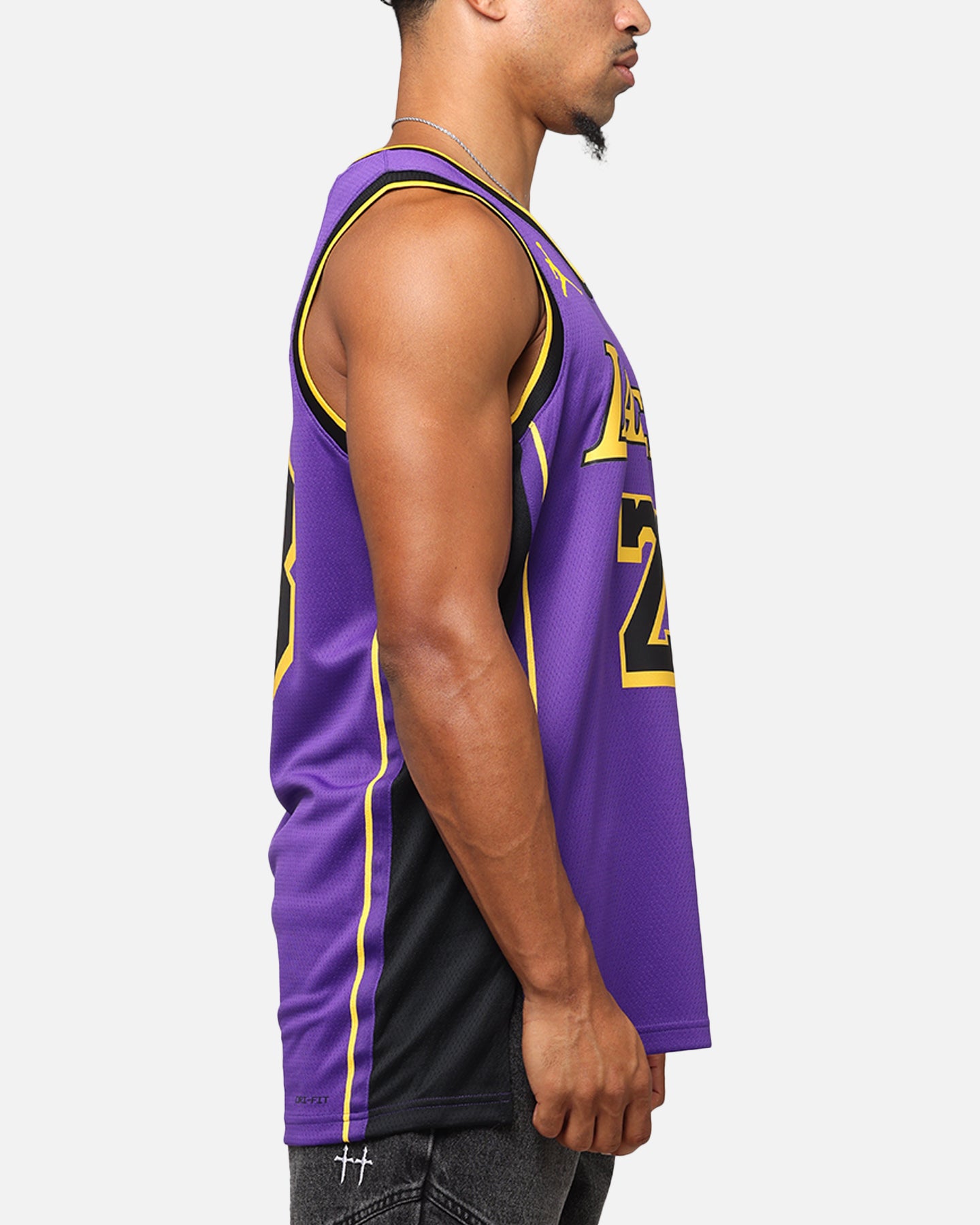 Nike Los Angeles Lakers Lebron James Dri-FIT Swingman Jersey Field Purple、mySite、zt4zffjzw