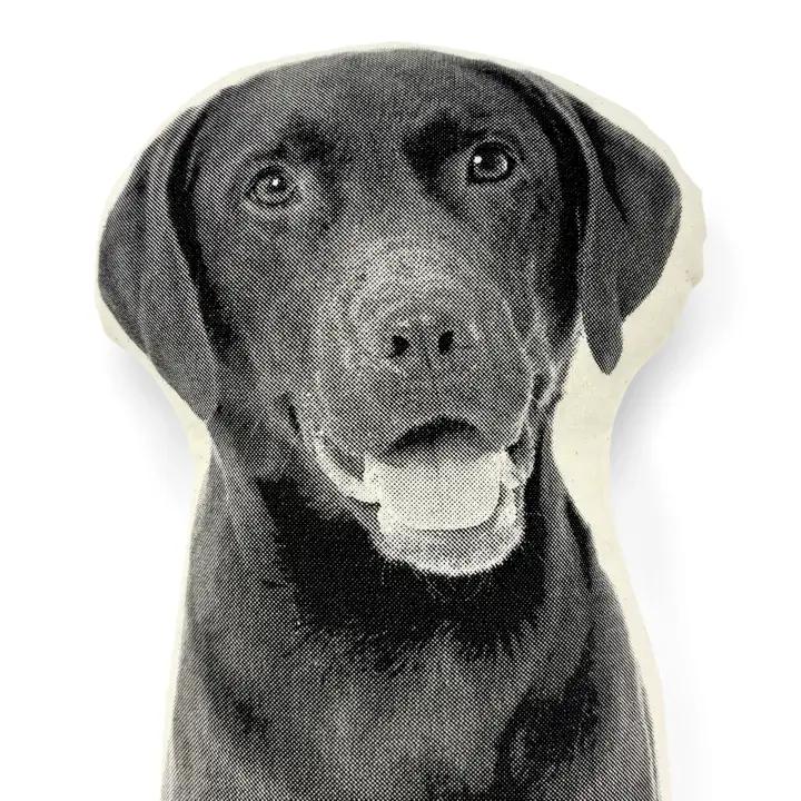 Lab Retriever Pillow、mySite、g9winljtr