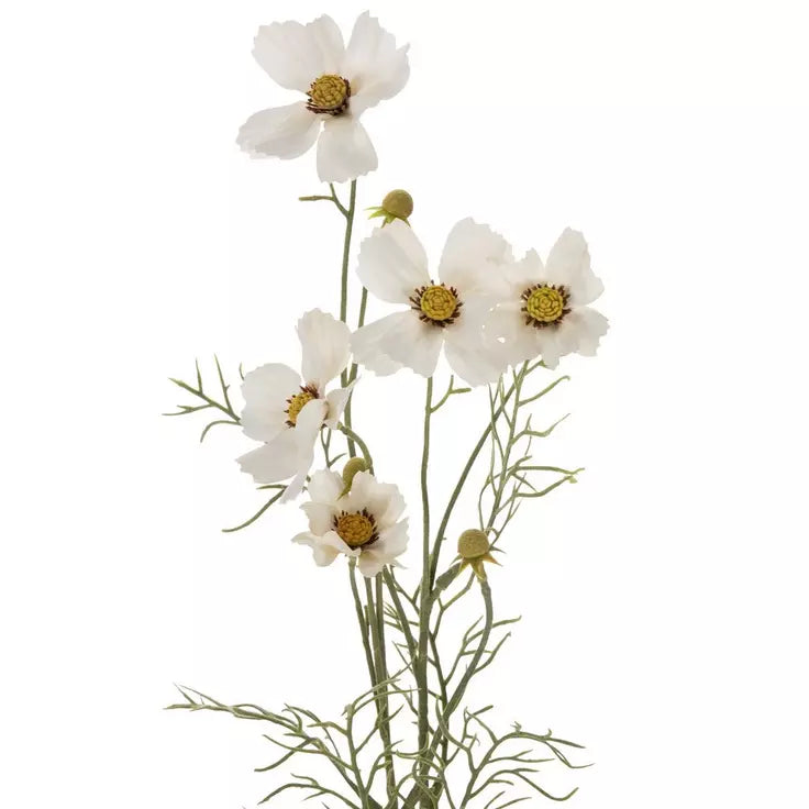  Cosmo Flower、mySite、elrpsem3k