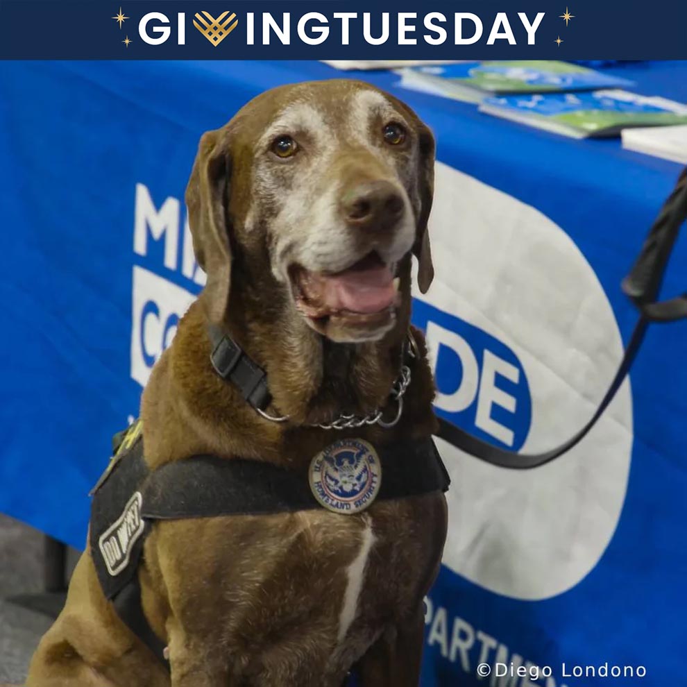 GivingTuesday: Send Essential Supplies to Homeless Veterans、mySite、camillekostekn