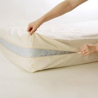 Organic Cotton Mattress and Futon Cover、mySite、neckold