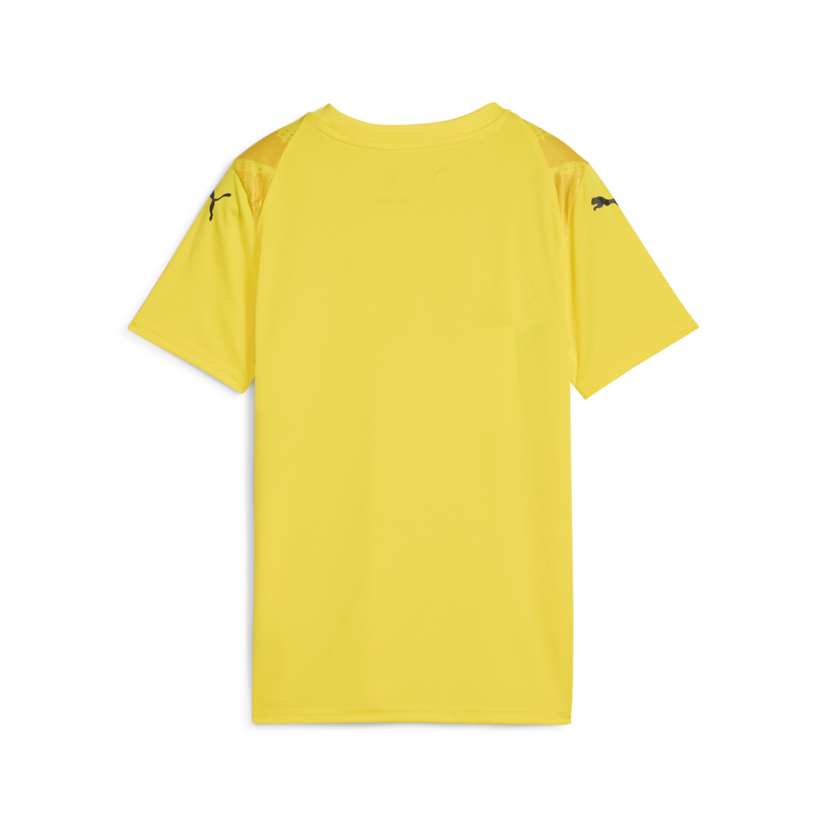 Puma Youth Teamultimate Jersey - Yellow、mySite、noshort
