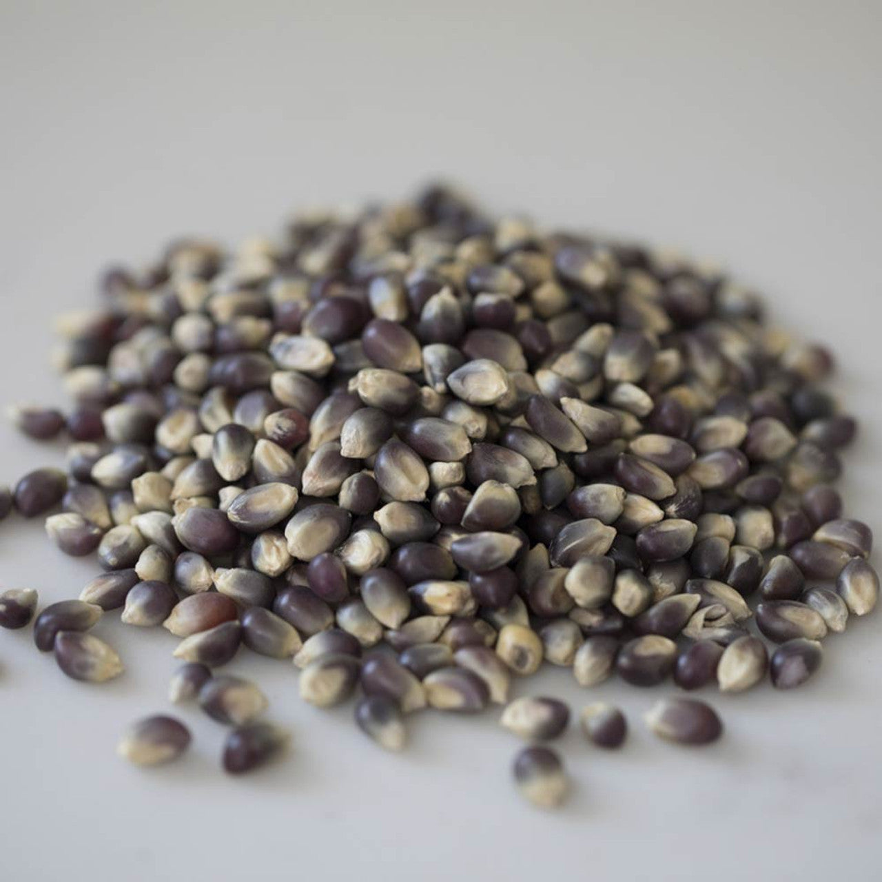 Amish Country Popcorn、mySite、garagedoors4me